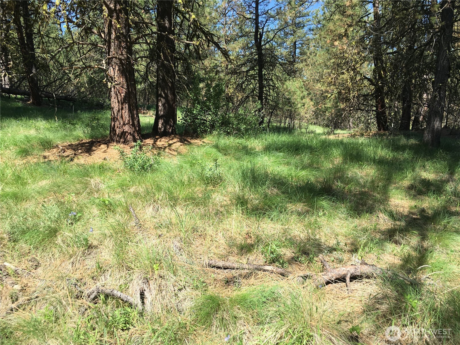 -xxx Turner Lake Road North Tonasket, WA 98855 - Photo 15 of 29 a view of outdoor space and a lake view