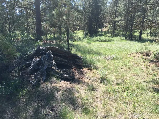 $69,900 | -xxx Turner Lake Road North, Tonasket, WA 98855