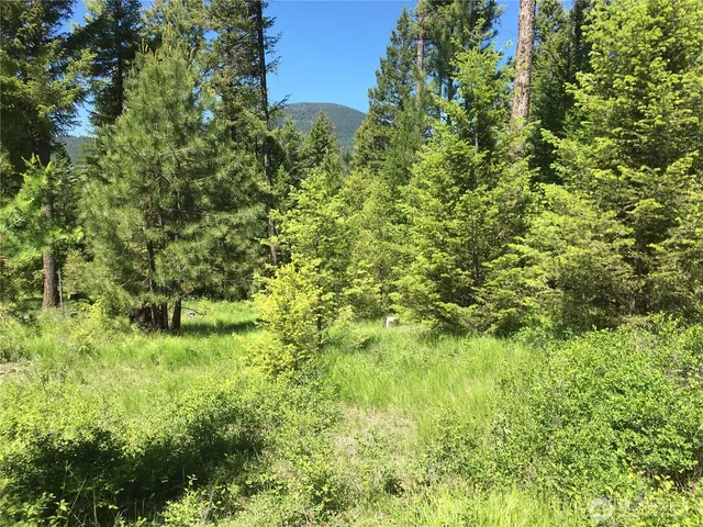 $69,900 | -xxx Turner Lake Road North, Tonasket, WA 98855