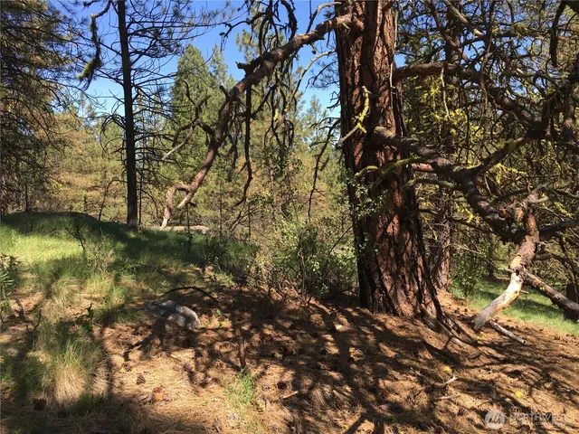 a view of outdoor space and a lake view