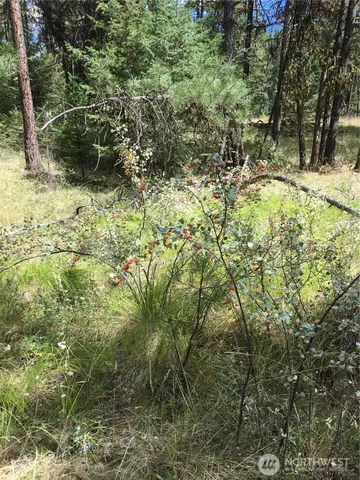 $69,900 | -xxx Turner Lake Road North, Tonasket, WA 98855