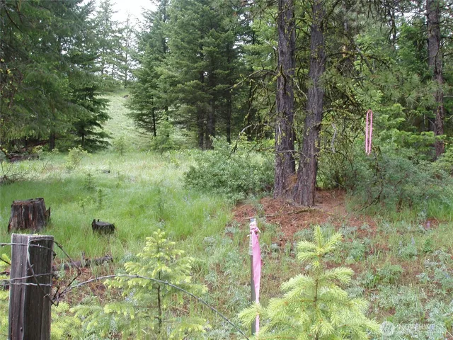 $69,900 | -xxx Turner Lake Road North, Tonasket, WA 98855