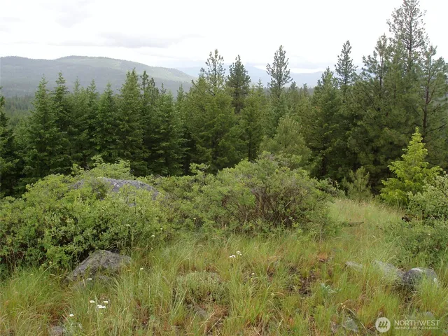 $69,900 | -xxx Turner Lake Road North, Tonasket, WA 98855