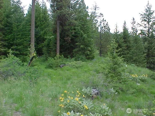 $69,900 | -xxx Turner Lake Road North, Tonasket, WA 98855