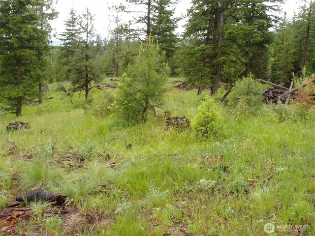 $69,900 | -xxx Turner Lake Road North, Tonasket, WA 98855