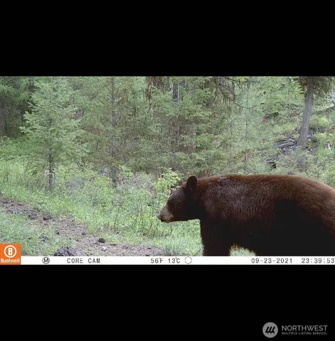 a view of a back yard