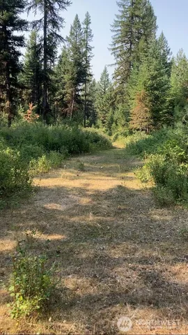 $69,900 | -xxx Turner Lake Road North, Tonasket, WA 98855