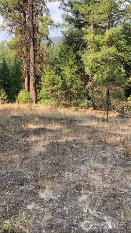 $69,900 | -xxx Turner Lake Road North, Tonasket, WA 98855