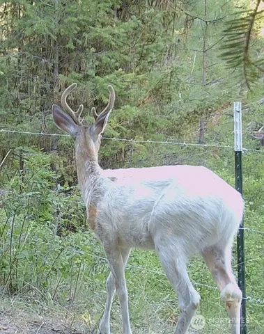 a view of storage and utility