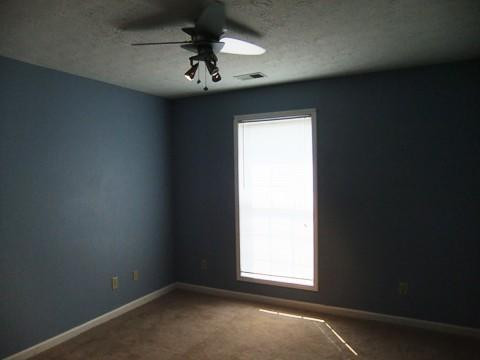 133 Hemingway Place Georgetown, KY 40324 - Photo 20 of 30 Photo 20