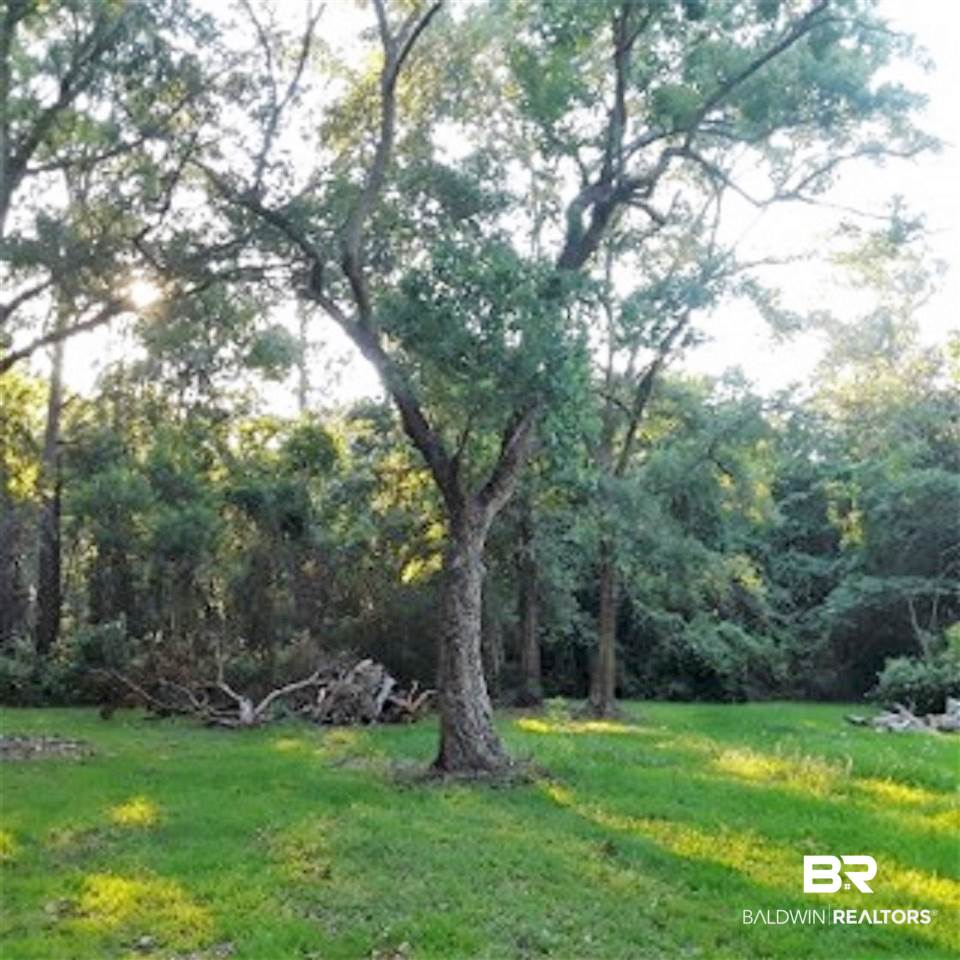 10960 Thomas Road Theodore, AL 36582 - Photo 4 of 10