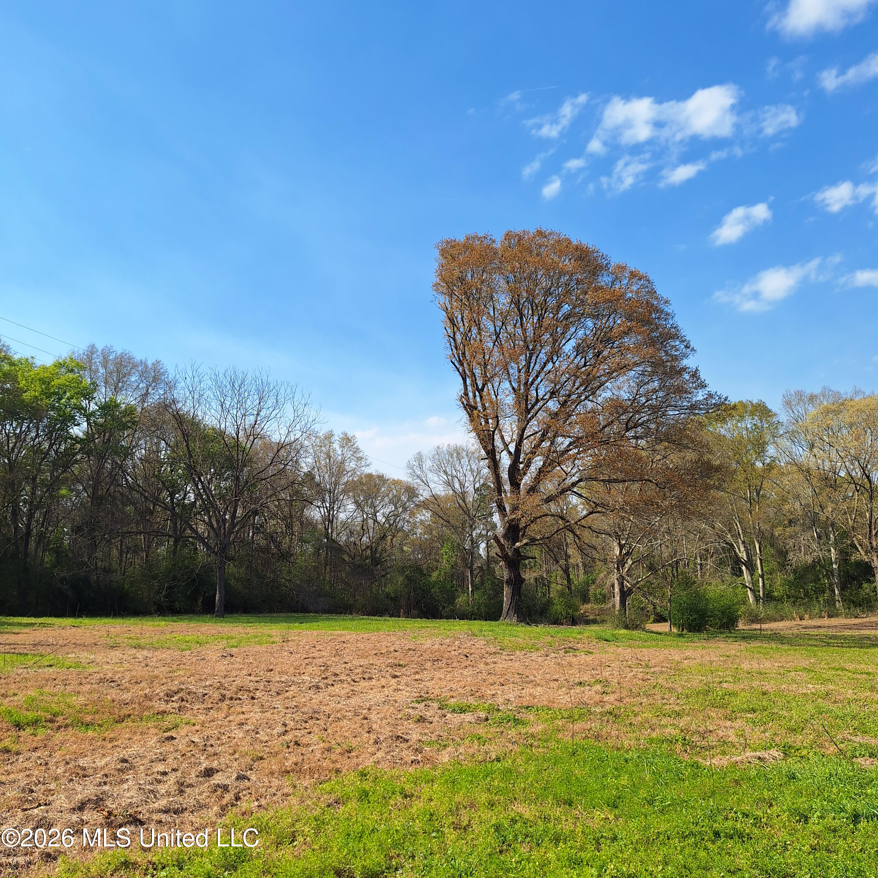 1704 Pecan Road Newton, MS 39345 - Photo 23 of 25 20260319_155833