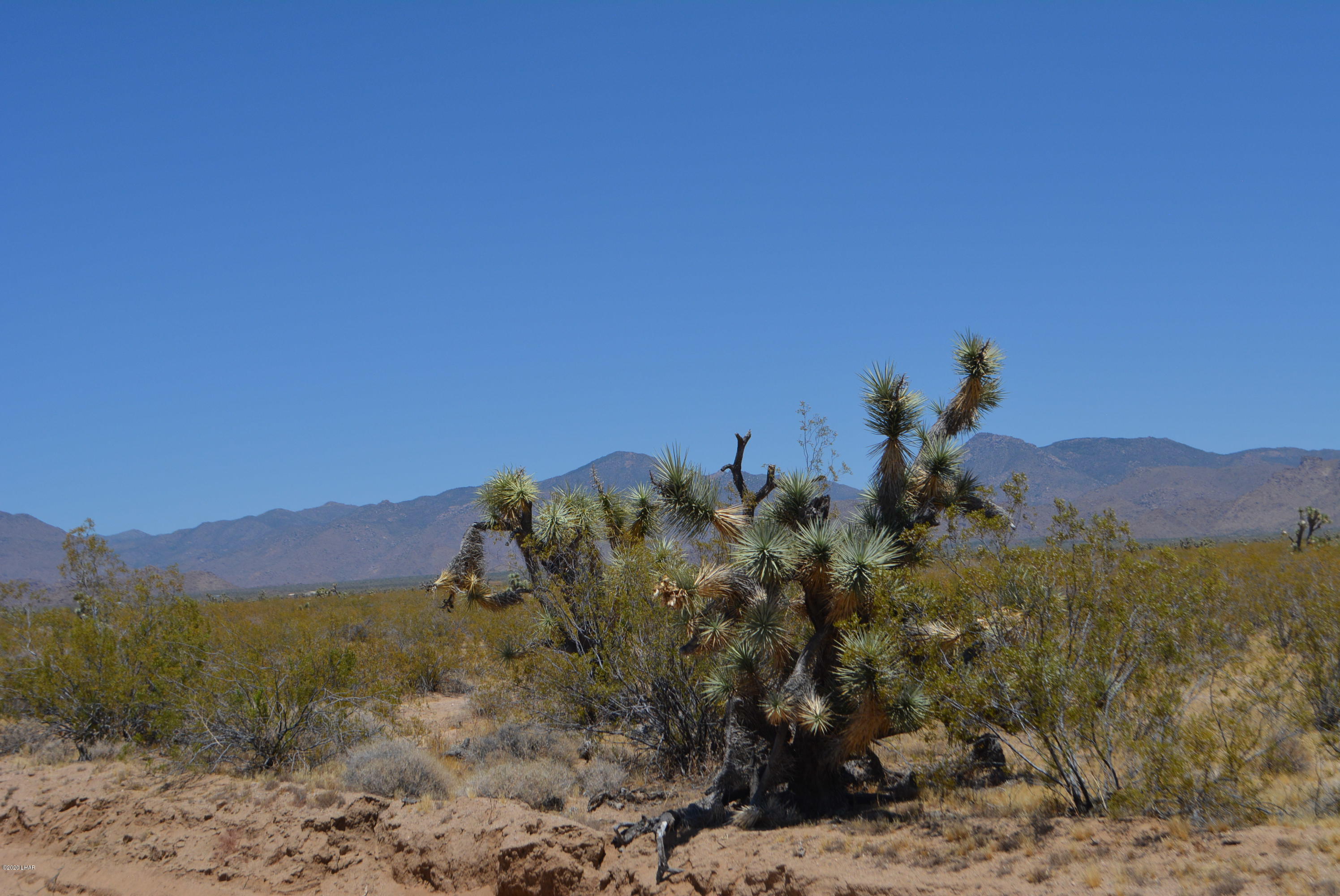 2586 South John Wayne Road Yucca, AZ 86438 - Photo 1 of 38 DSC_0357