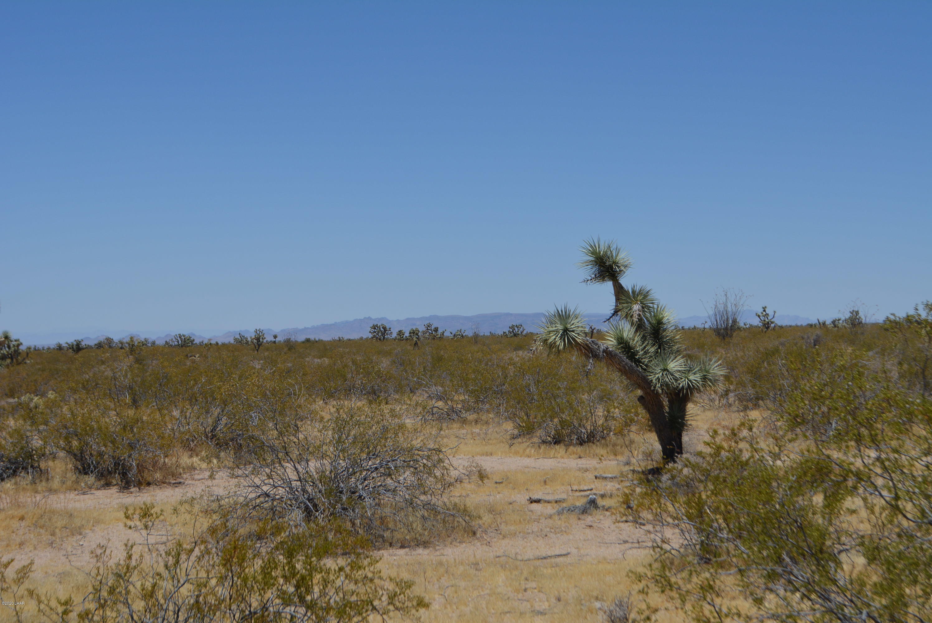 2586 South John Wayne Road Yucca, AZ 86438 - Photo 11 of 38 DSC_0353