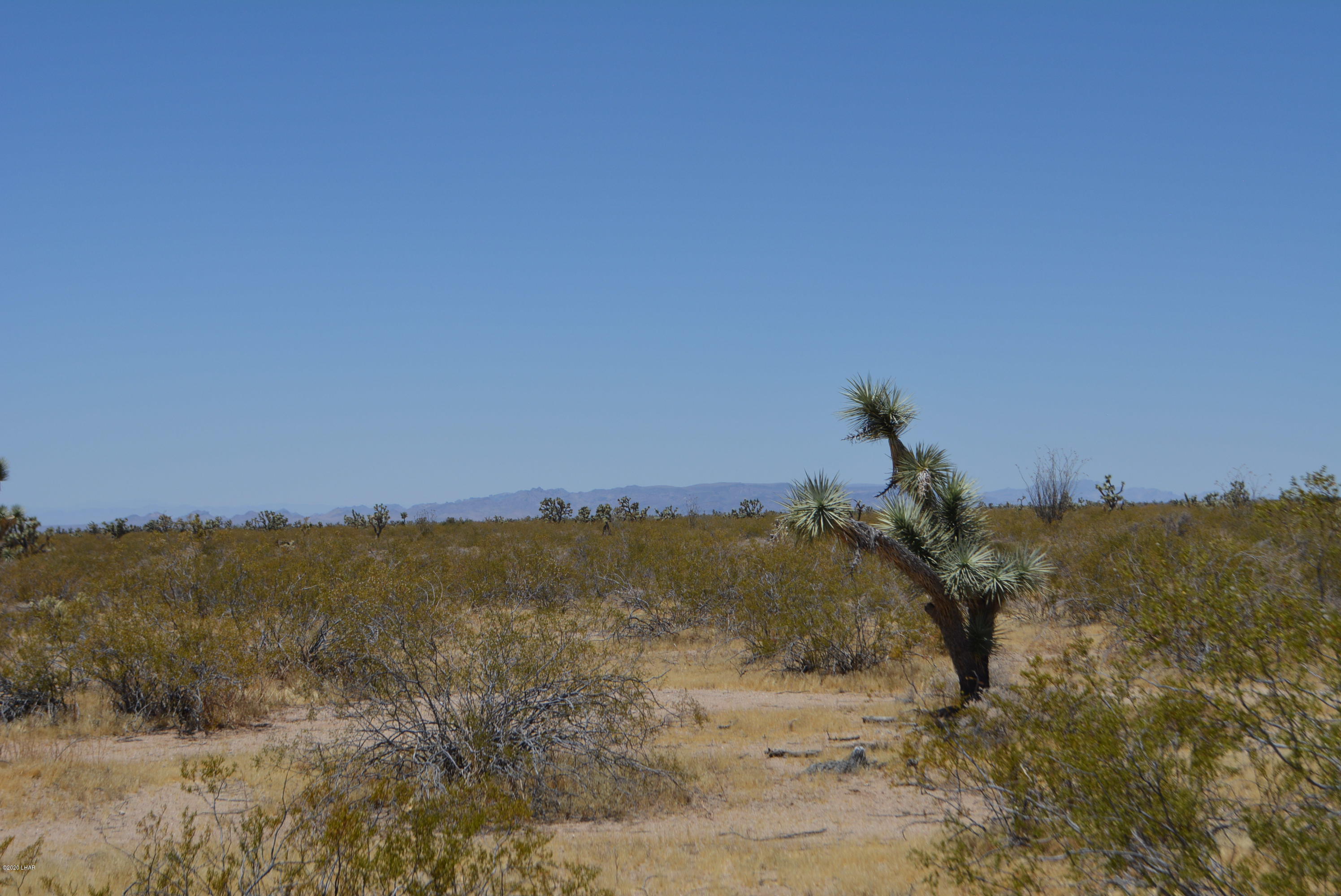2586 South John Wayne Road Yucca, AZ 86438 - Photo 12 of 38 DSC_0354