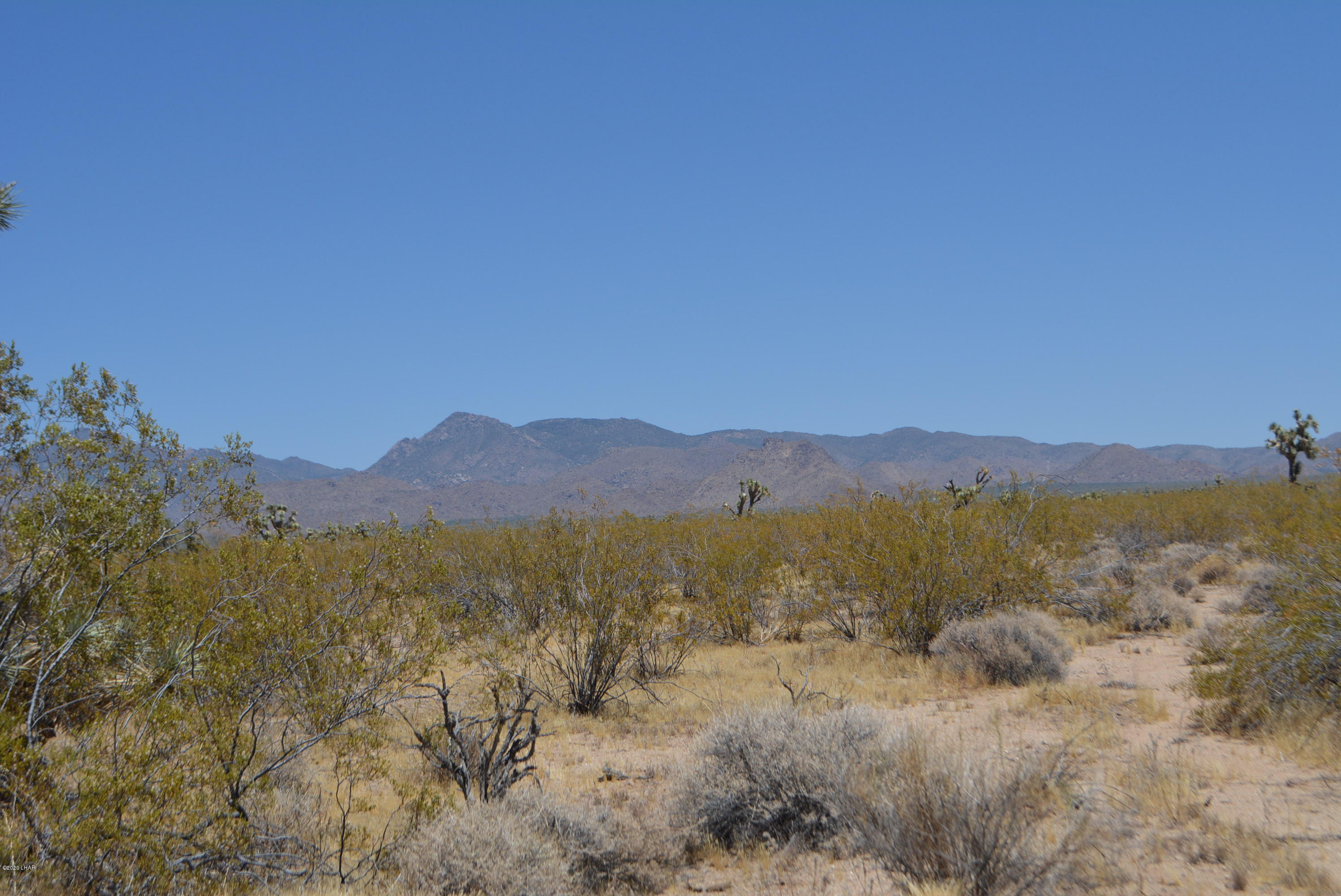 2586 South John Wayne Road Yucca, AZ 86438 - Photo 15 of 38 DSC_0358