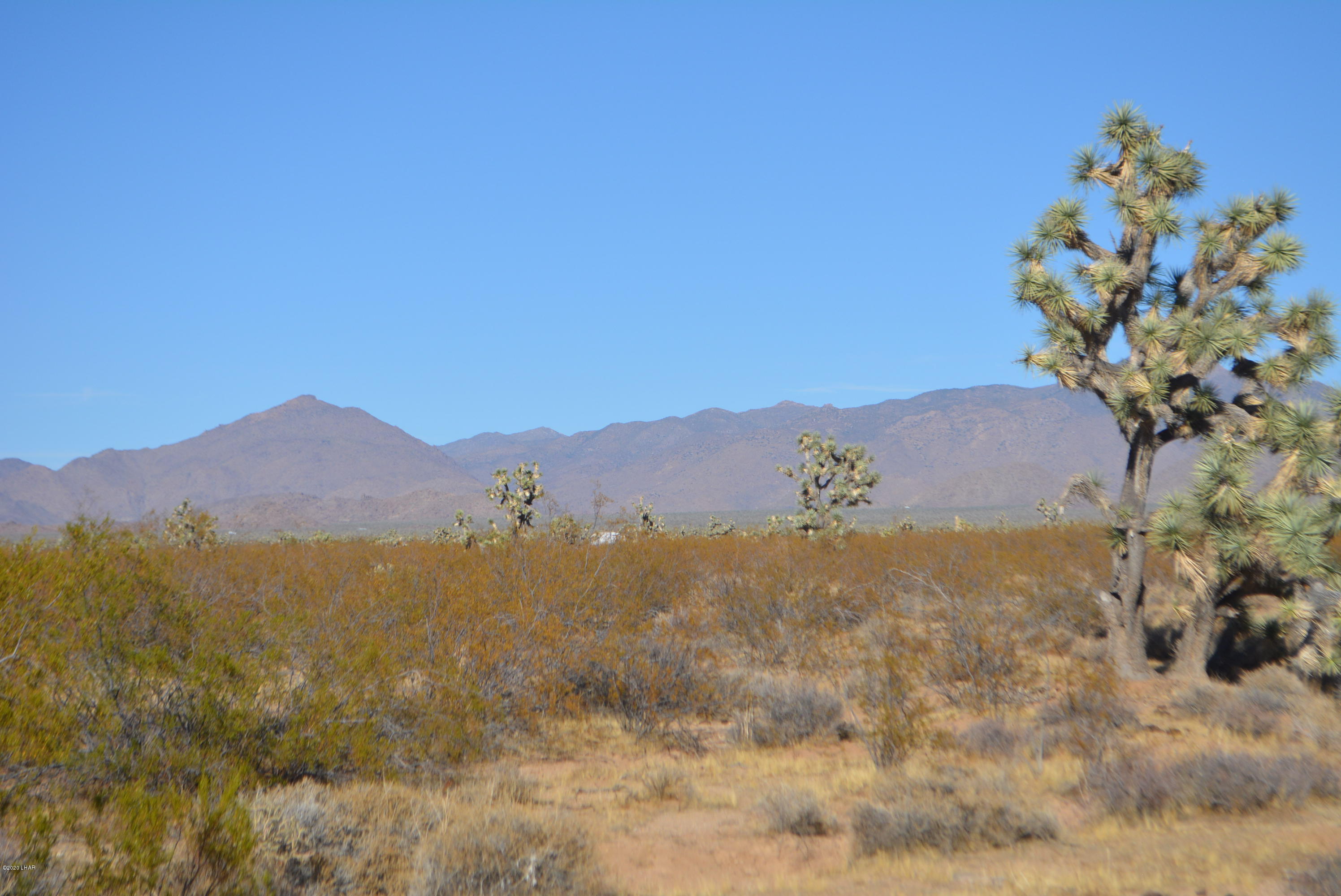 2586 South John Wayne Road Yucca, AZ 86438 - Photo 17 of 38 DSC_0883