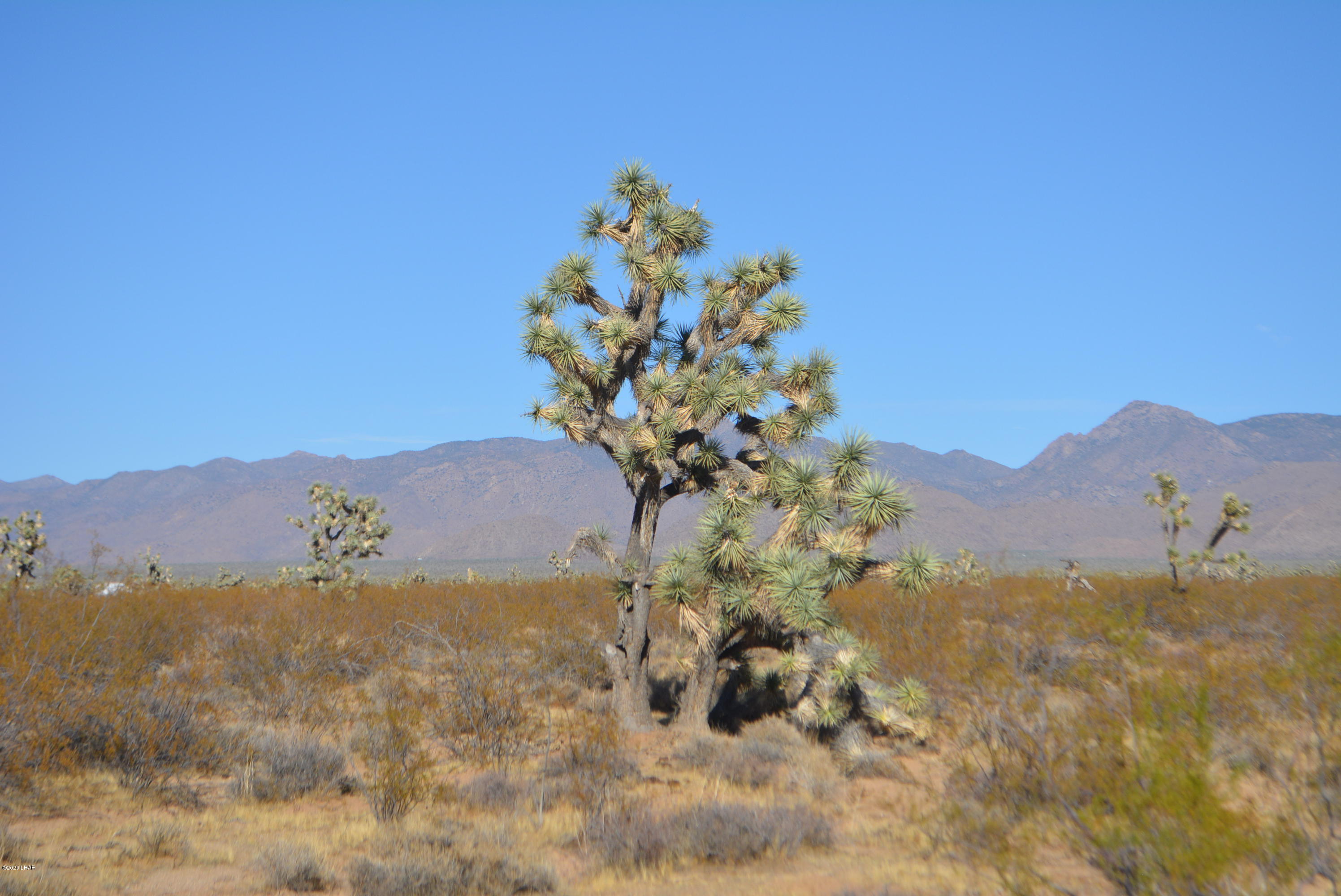 2586 South John Wayne Road Yucca, AZ 86438 - Photo 18 of 38 DSC_0884