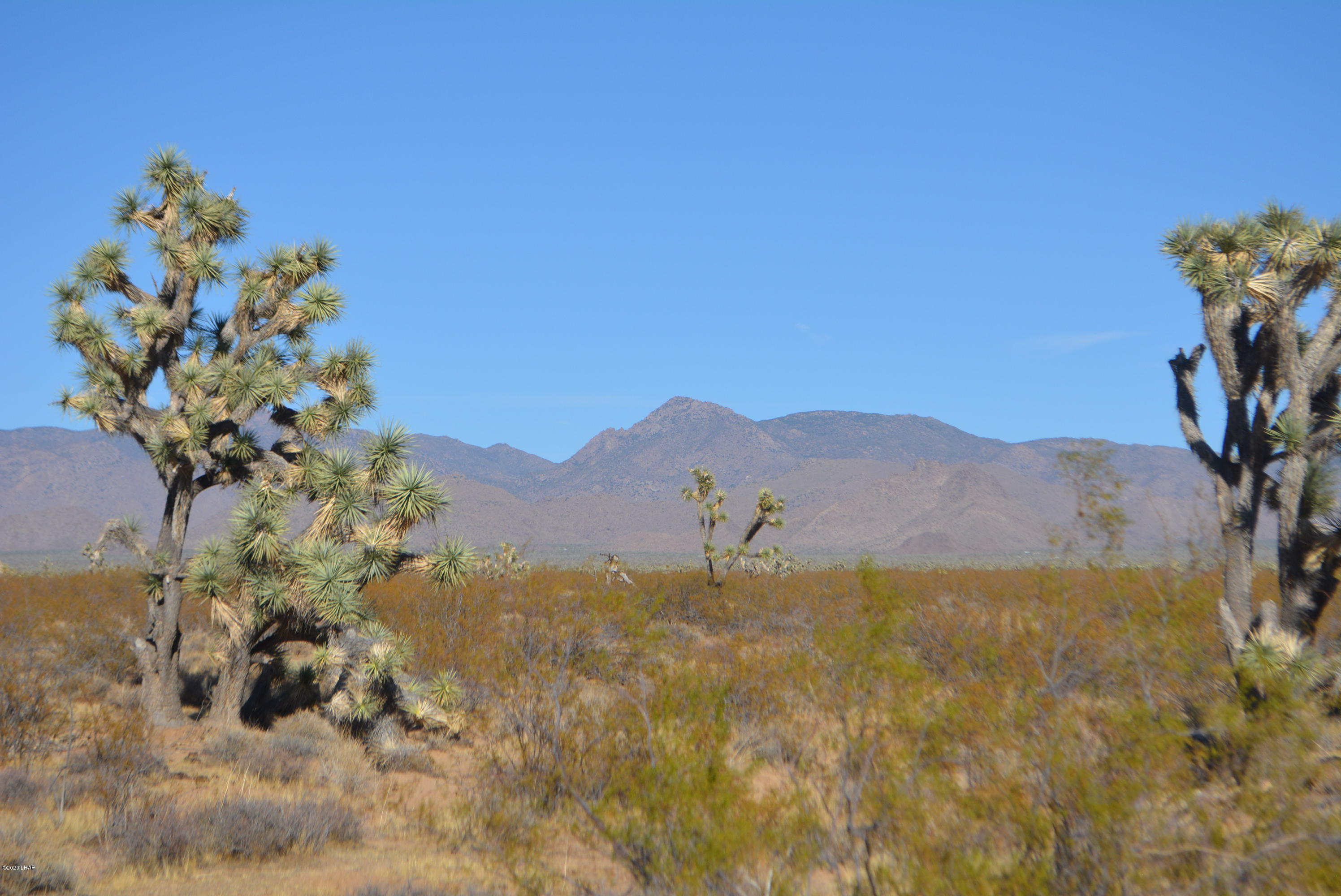 2586 South John Wayne Road Yucca, AZ 86438 - Photo 19 of 38 DSC_0885