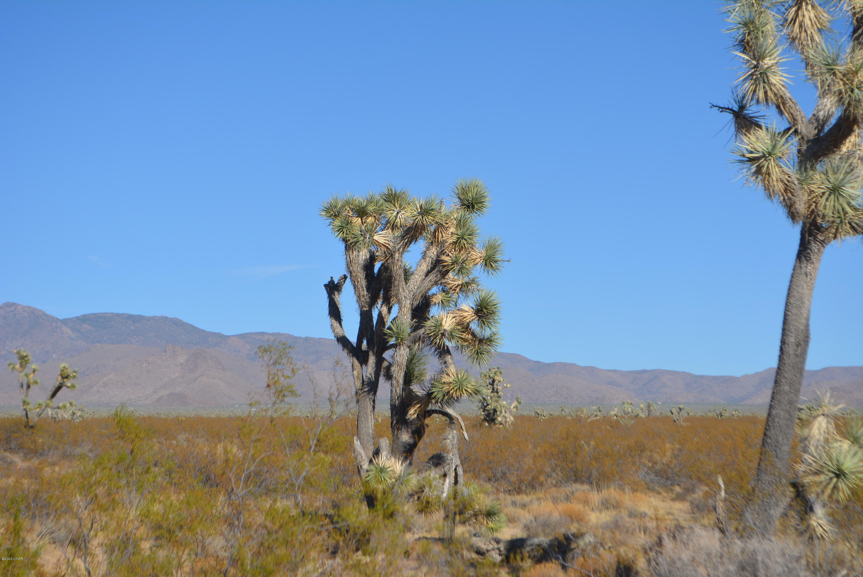 2586 South John Wayne Road Yucca, AZ 86438 - Photo 20 of 38 DSC_0886