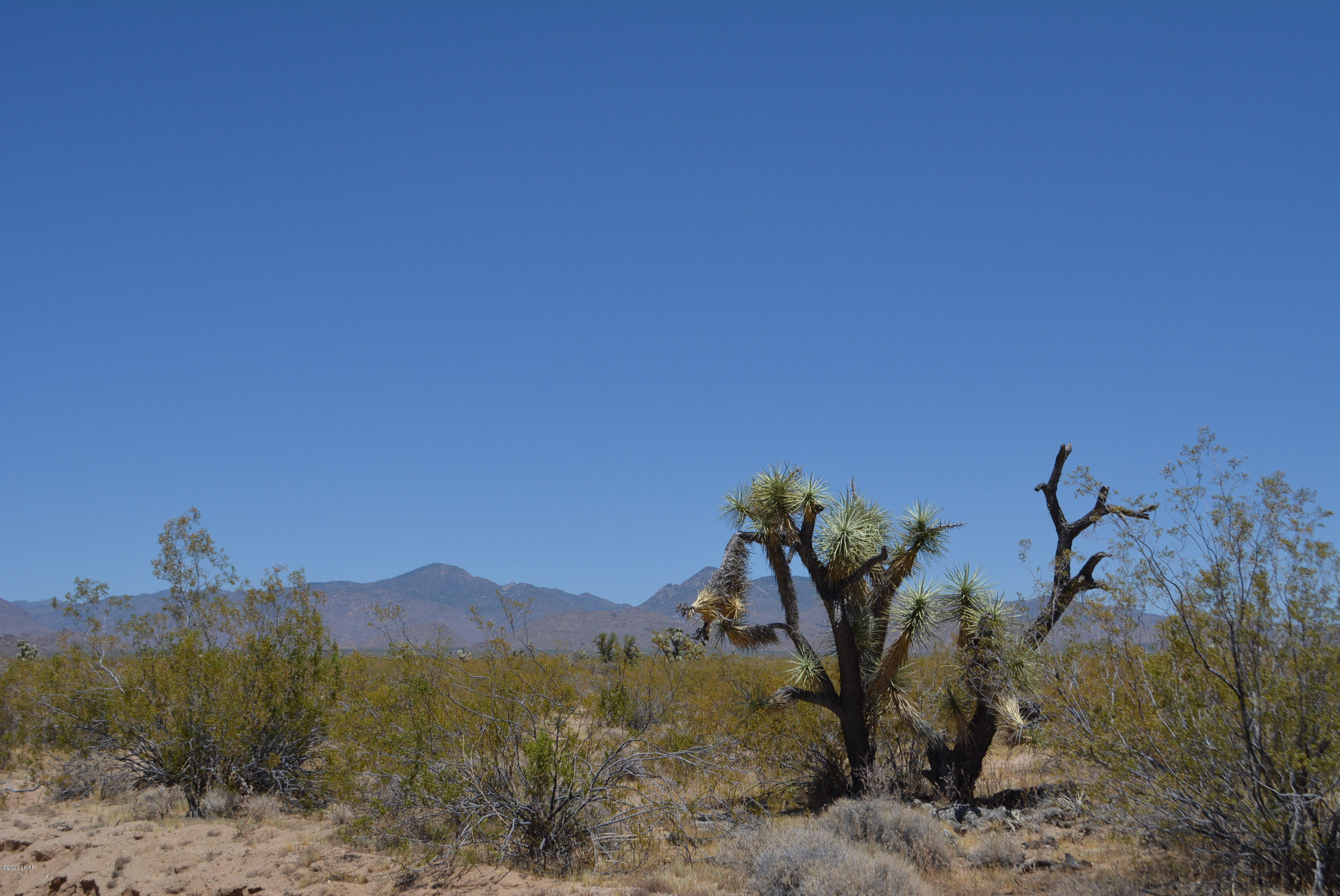 2586 South John Wayne Road Yucca, AZ 86438 - Photo 2 of 38 DSC_0344