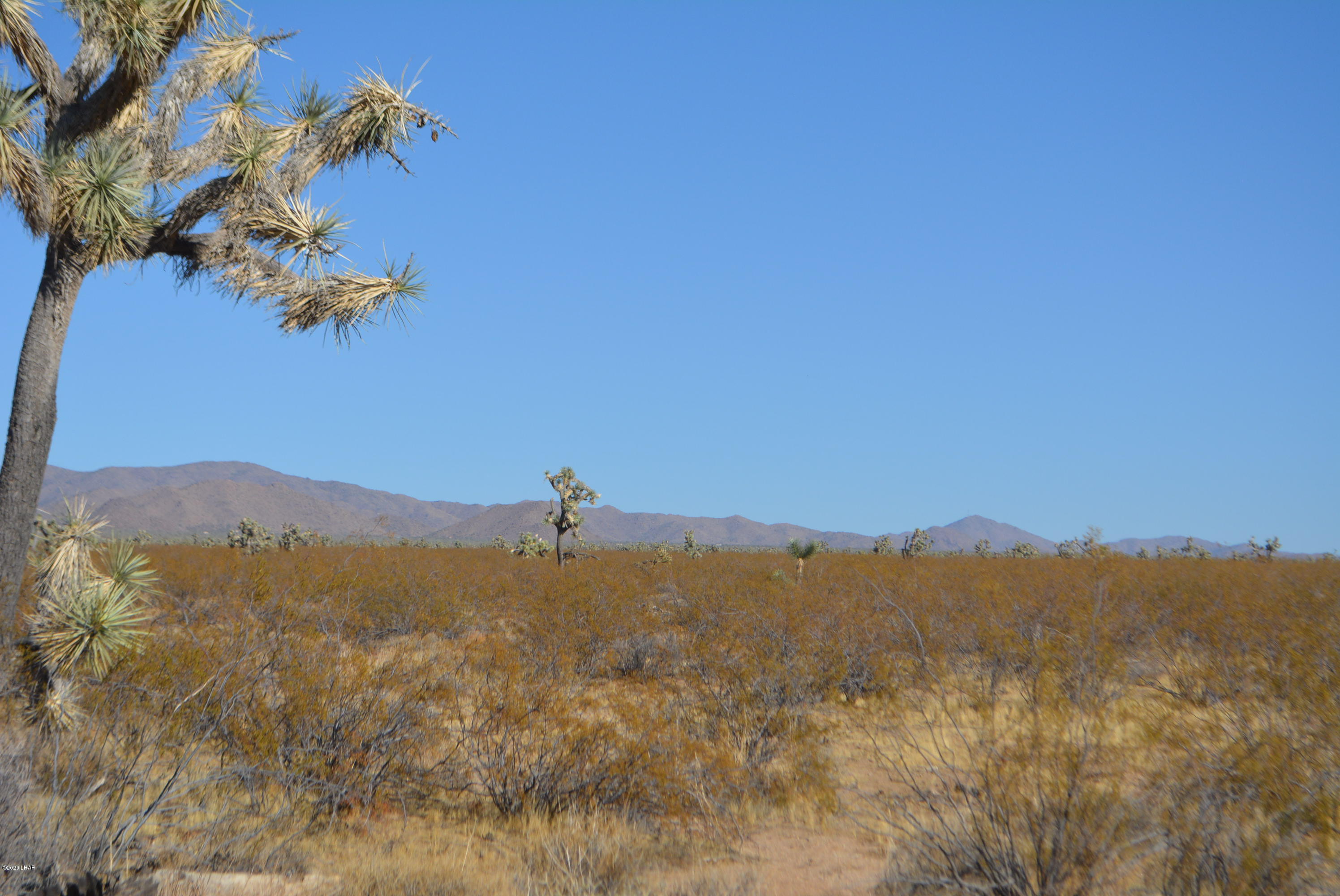 2586 South John Wayne Road Yucca, AZ 86438 - Photo 22 of 38 DSC_0888