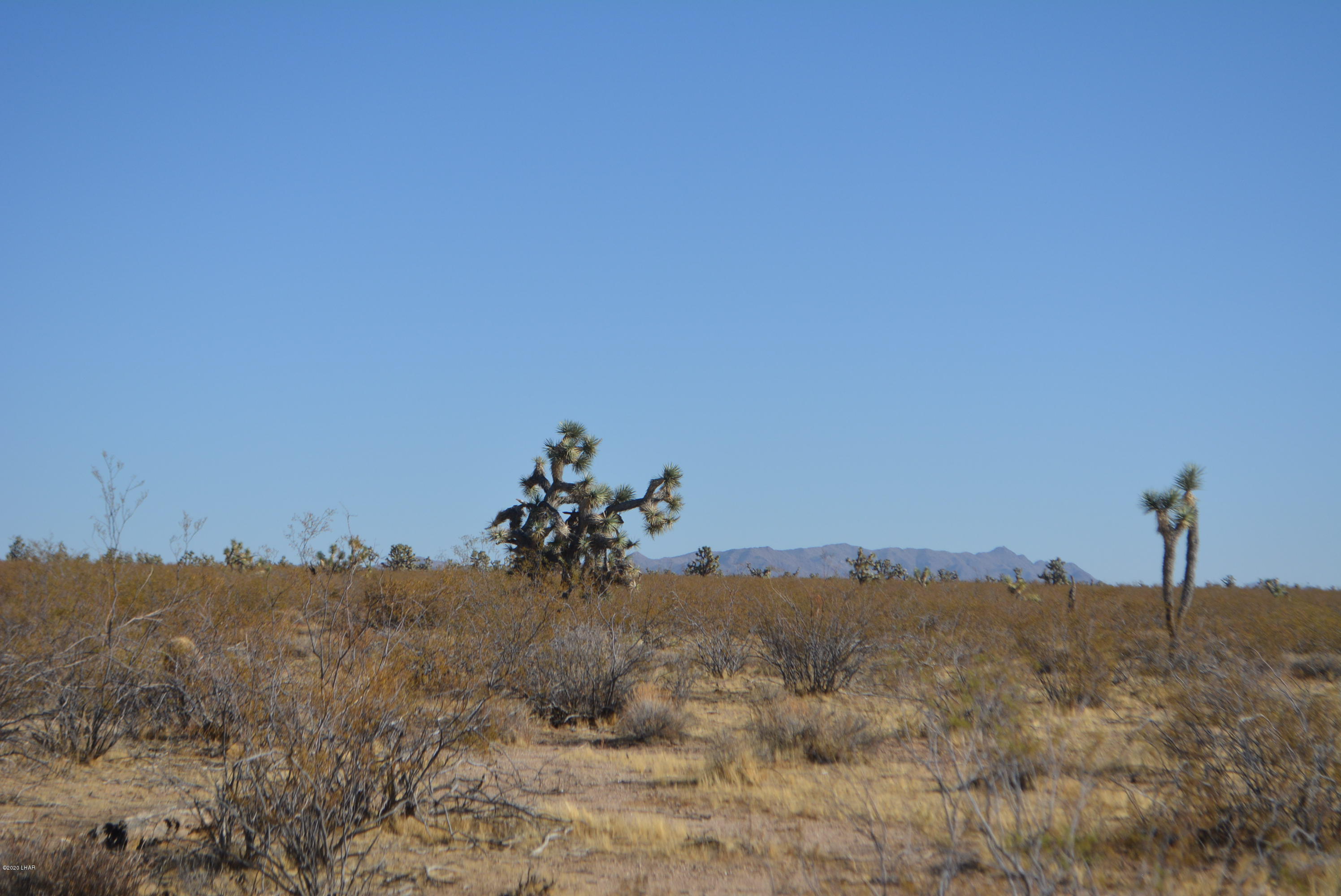 2586 South John Wayne Road Yucca, AZ 86438 - Photo 23 of 38 DSC_0889