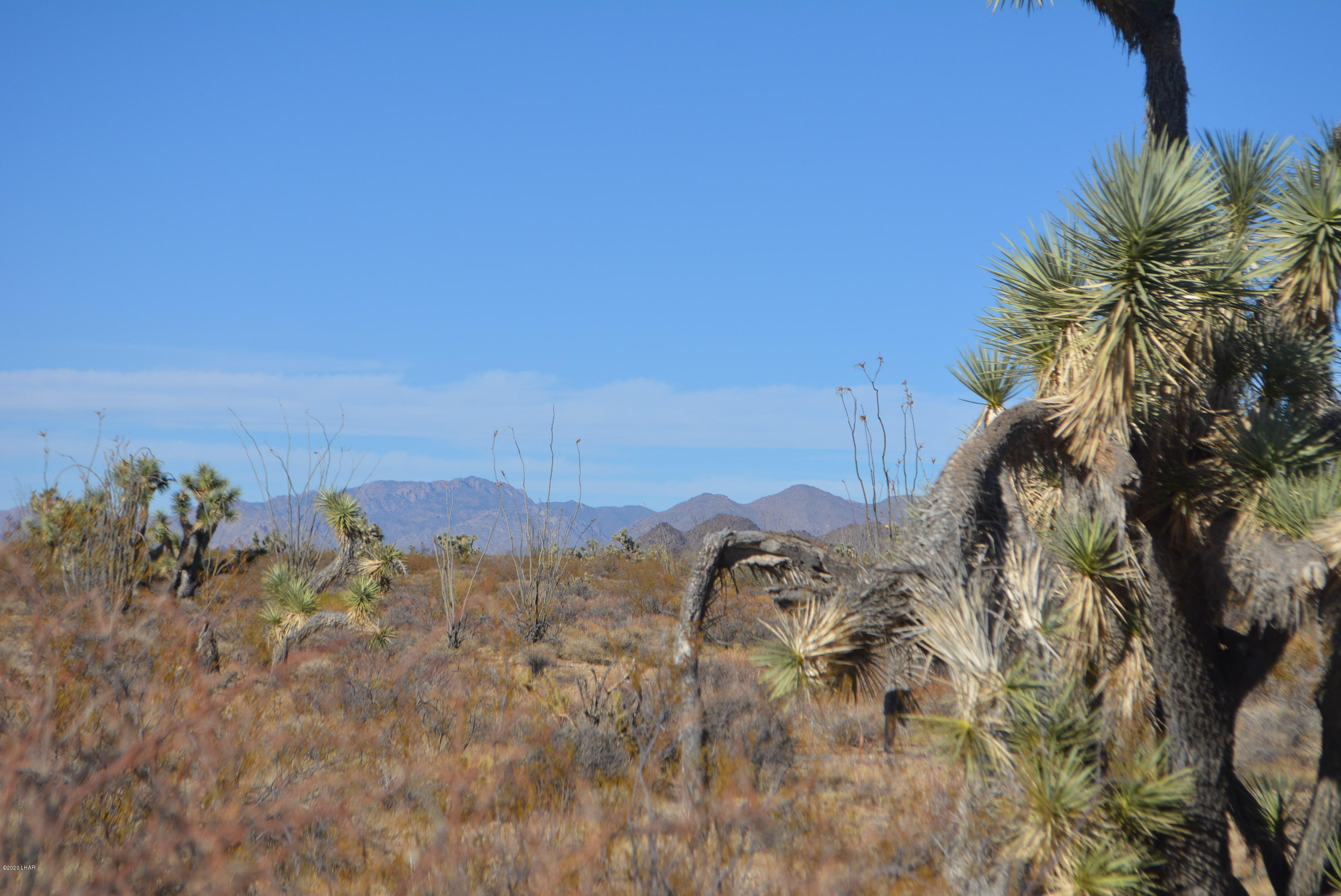 2586 South John Wayne Road Yucca, AZ 86438 - Photo 24 of 38 DSC_0890