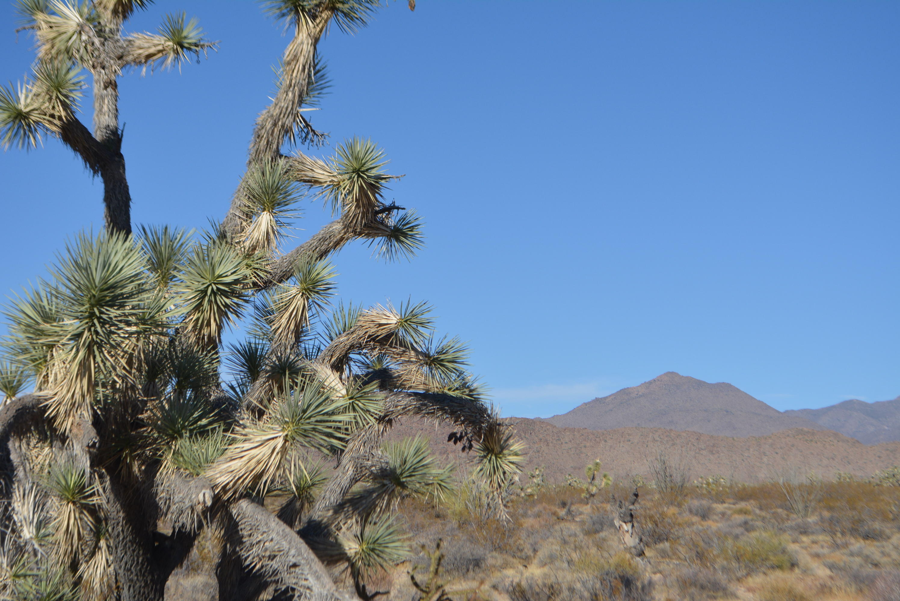 2586 South John Wayne Road Yucca, AZ 86438 - Photo 25 of 38 DSC_0891