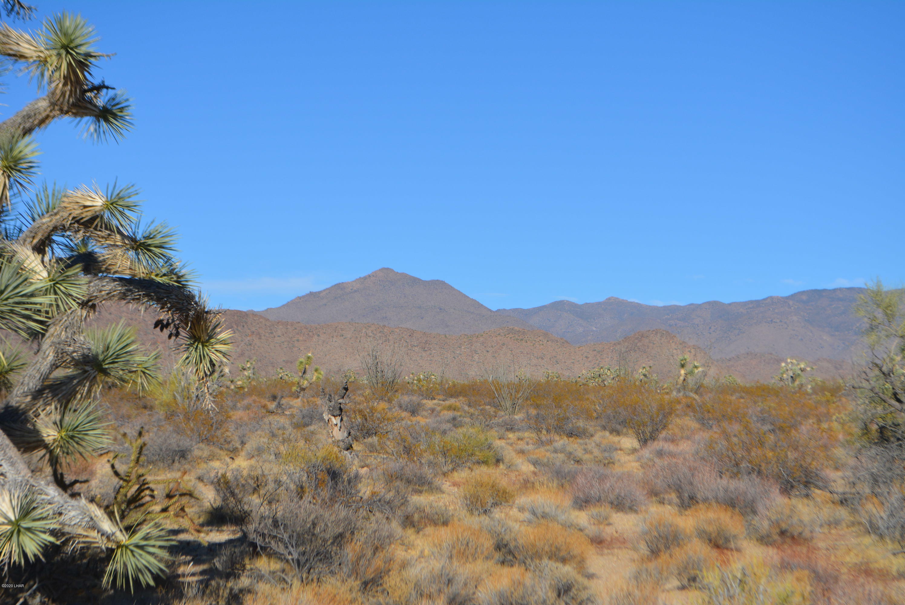 2586 South John Wayne Road Yucca, AZ 86438 - Photo 26 of 38 DSC_0892