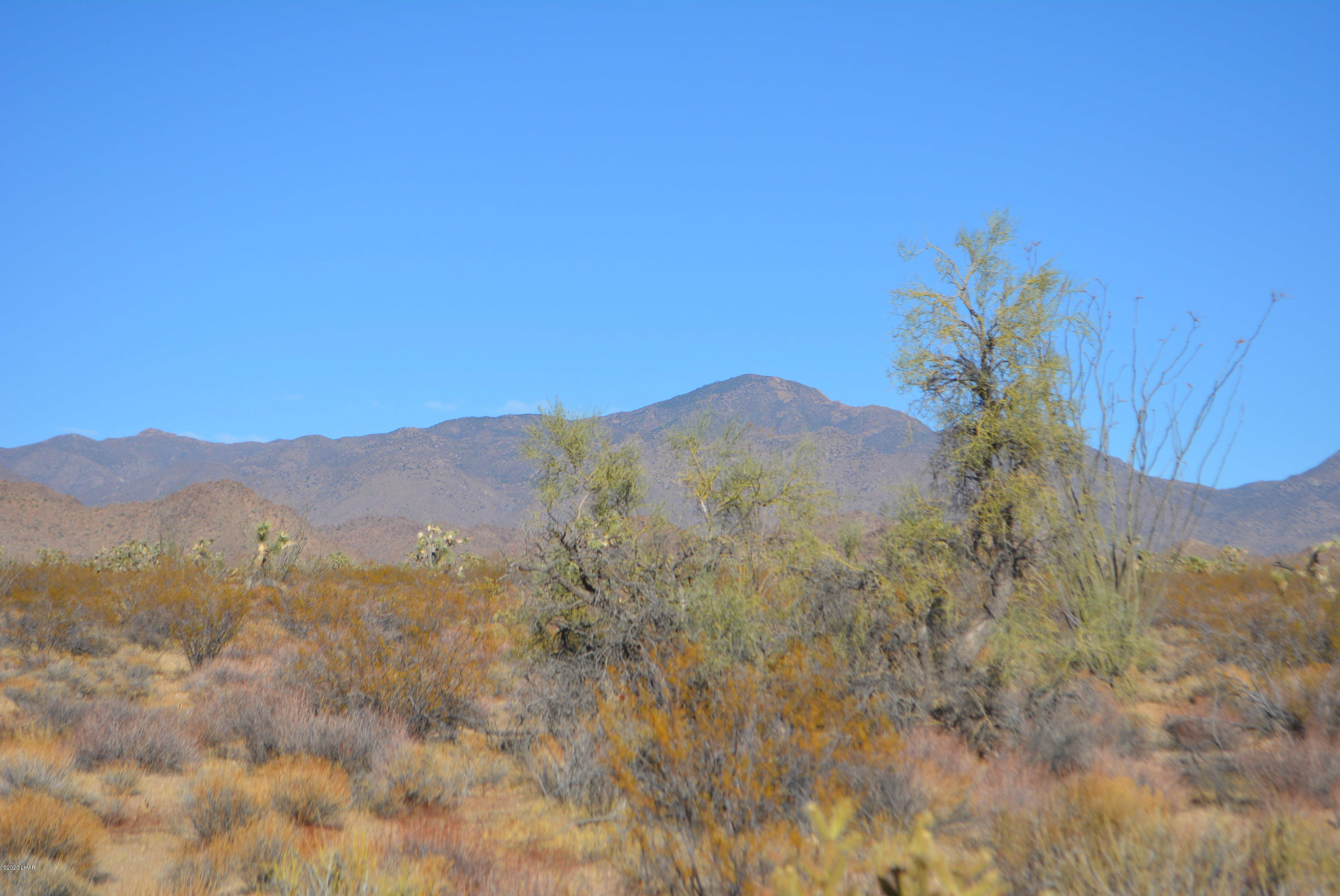 2586 South John Wayne Road Yucca, AZ 86438 - Photo 27 of 38 DSC_0893