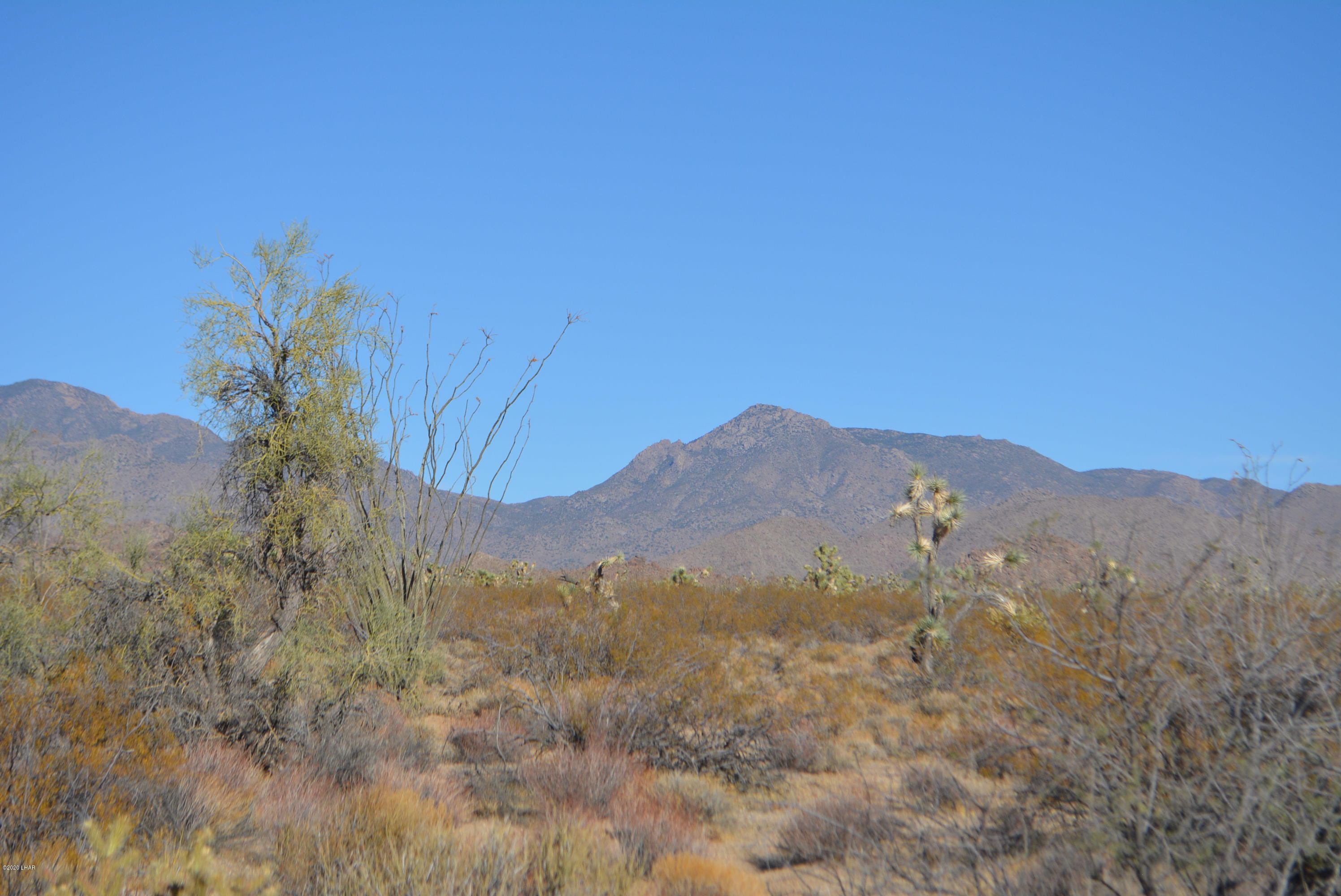 2586 South John Wayne Road Yucca, AZ 86438 - Photo 28 of 38 DSC_0894