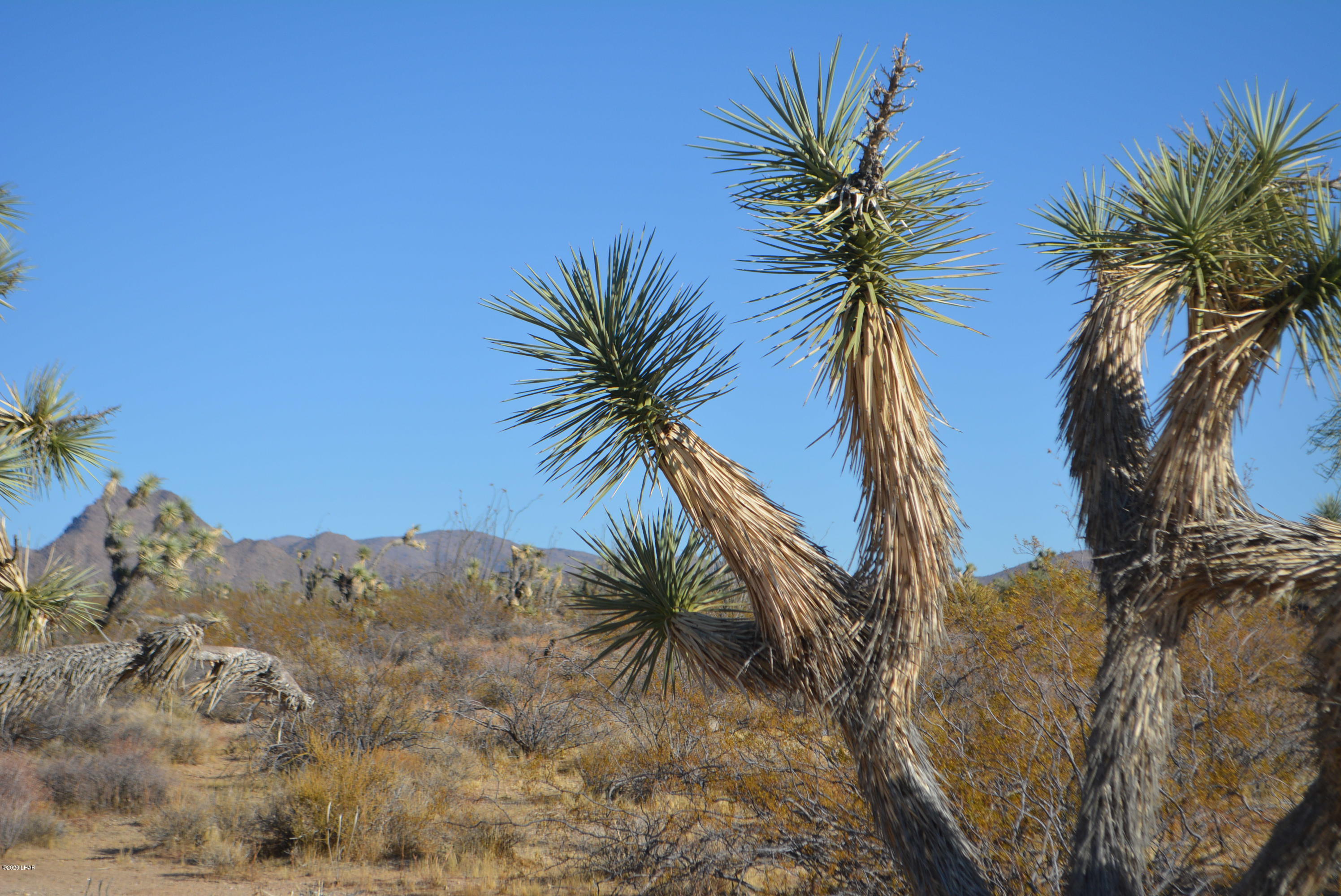 2586 South John Wayne Road Yucca, AZ 86438 - Photo 30 of 38 DSC_0896