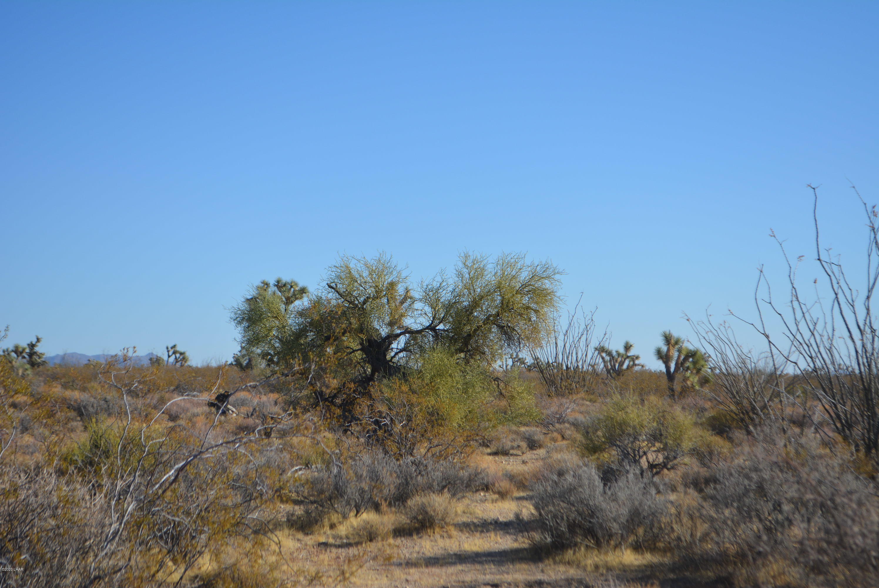 2586 South John Wayne Road Yucca, AZ 86438 - Photo 31 of 38 DSC_0897