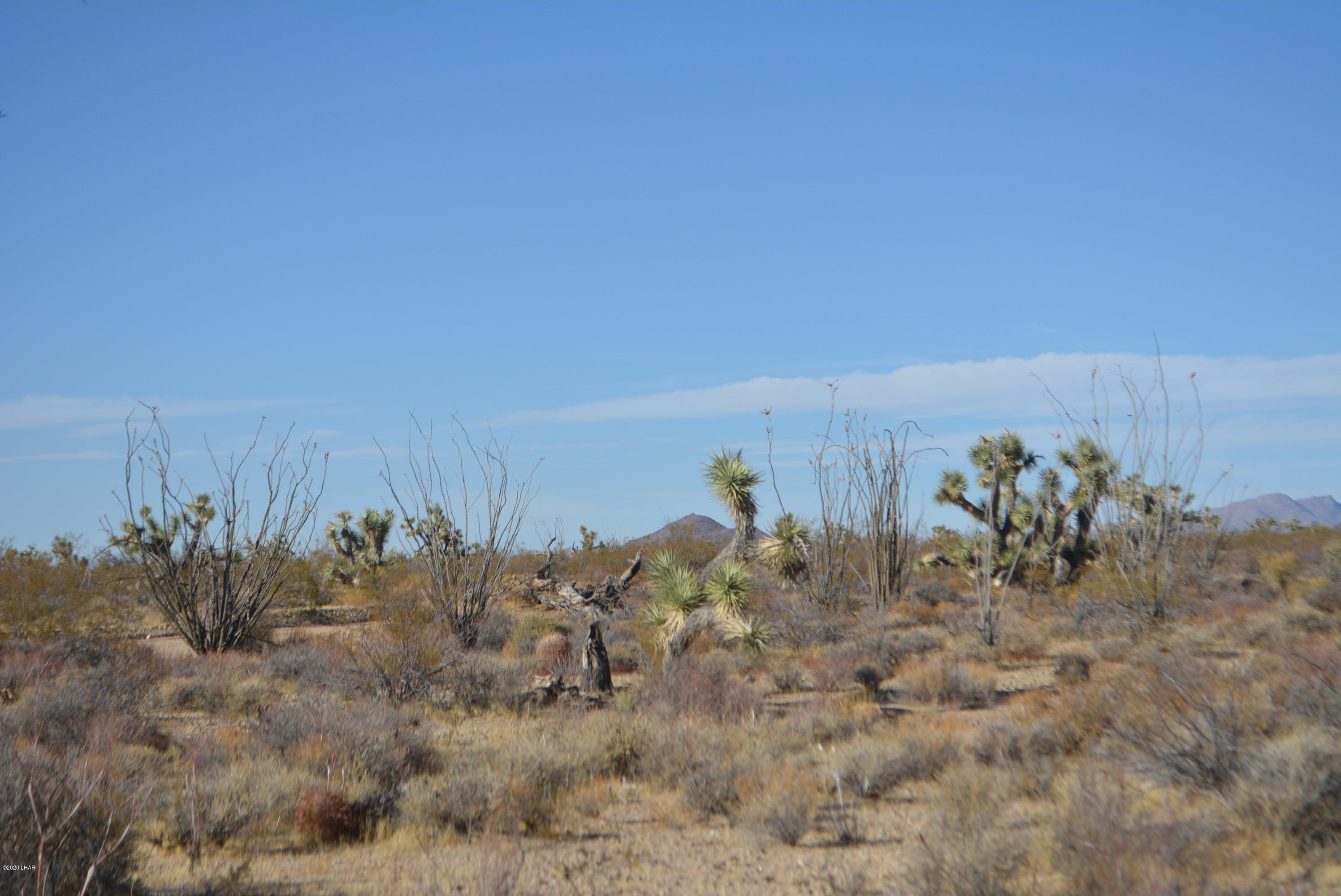 2586 South John Wayne Road Yucca, AZ 86438 - Photo 32 of 38 DSC_0898