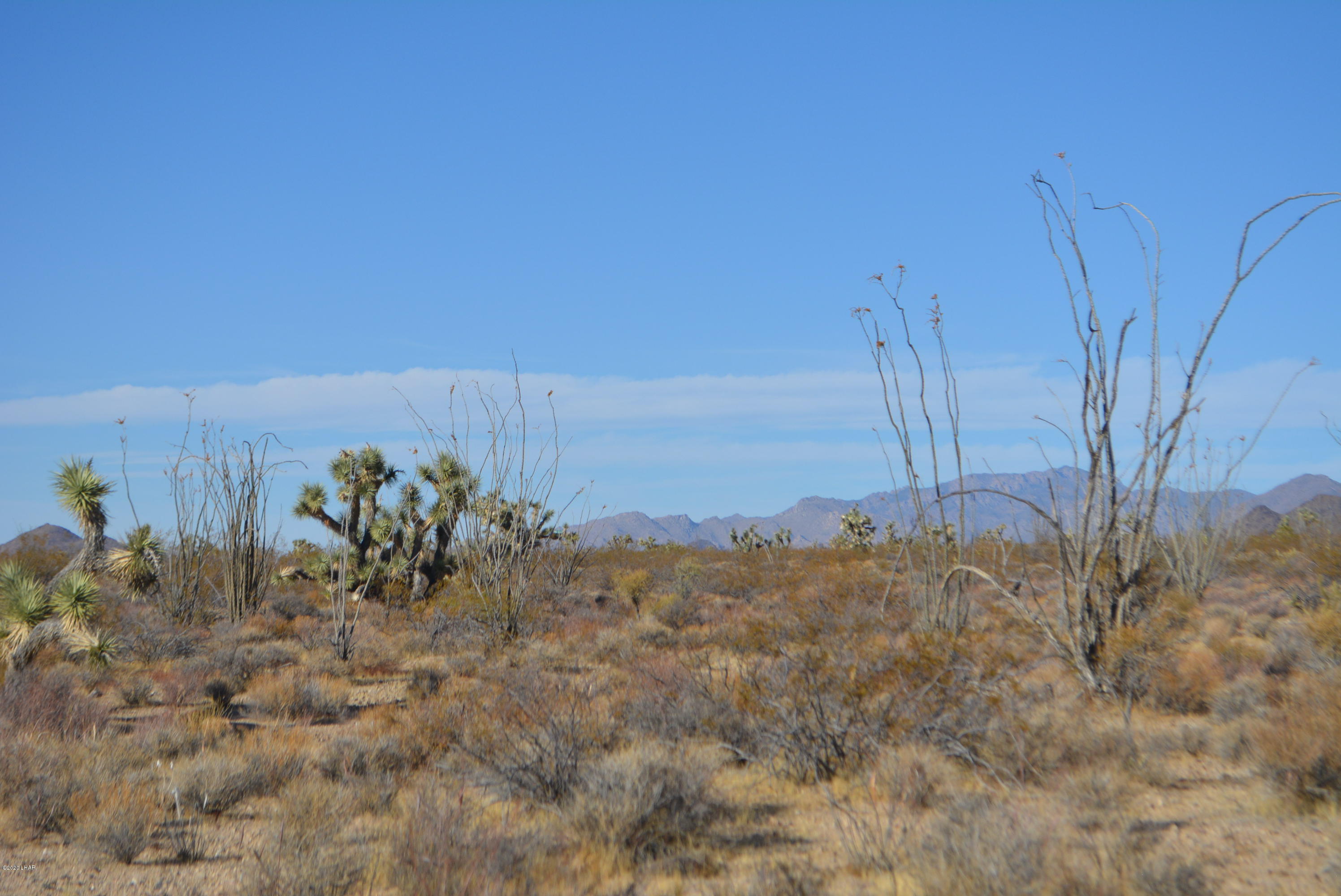 2586 South John Wayne Road Yucca, AZ 86438 - Photo 33 of 38 DSC_0899