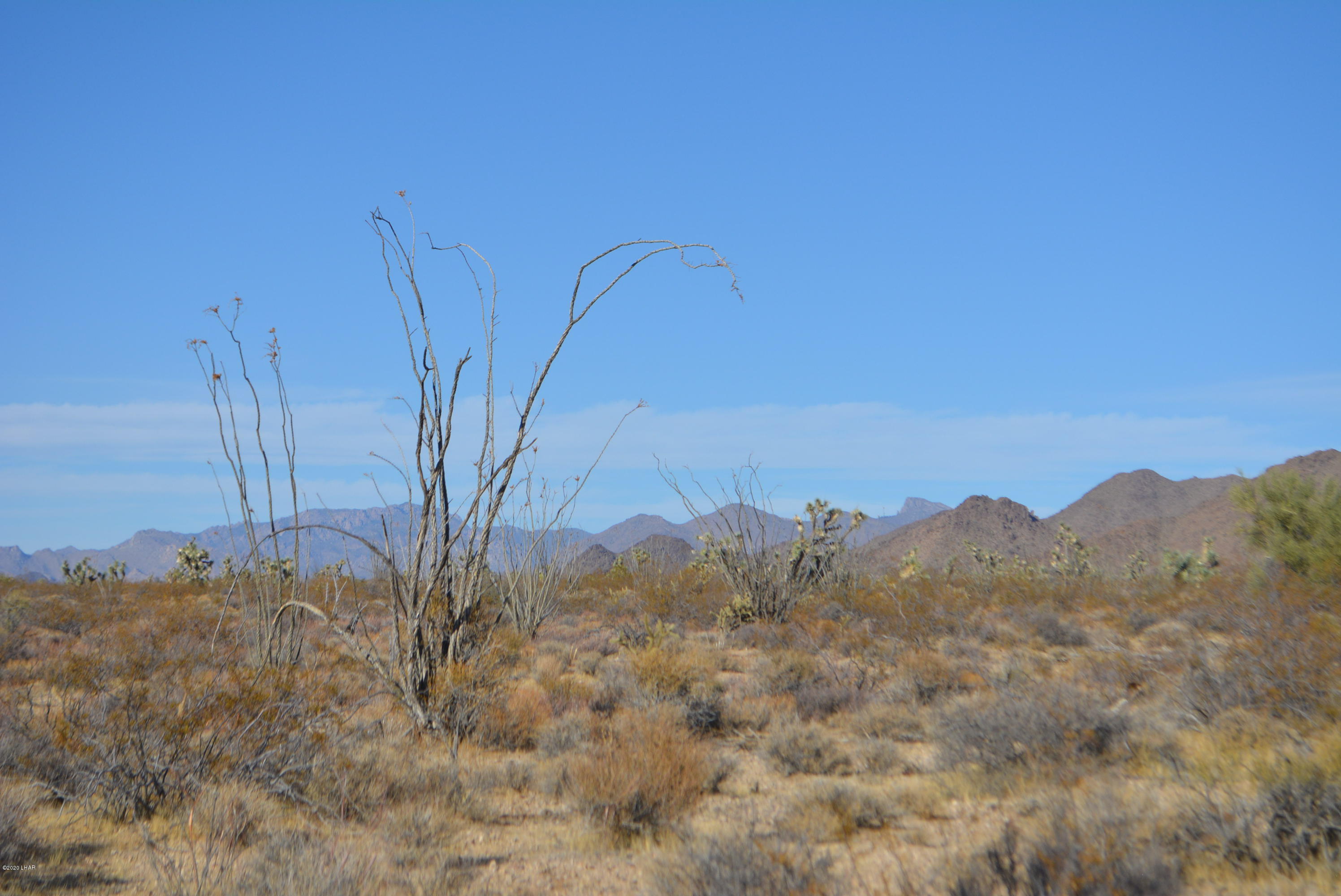 2586 South John Wayne Road Yucca, AZ 86438 - Photo 34 of 38 DSC_0900