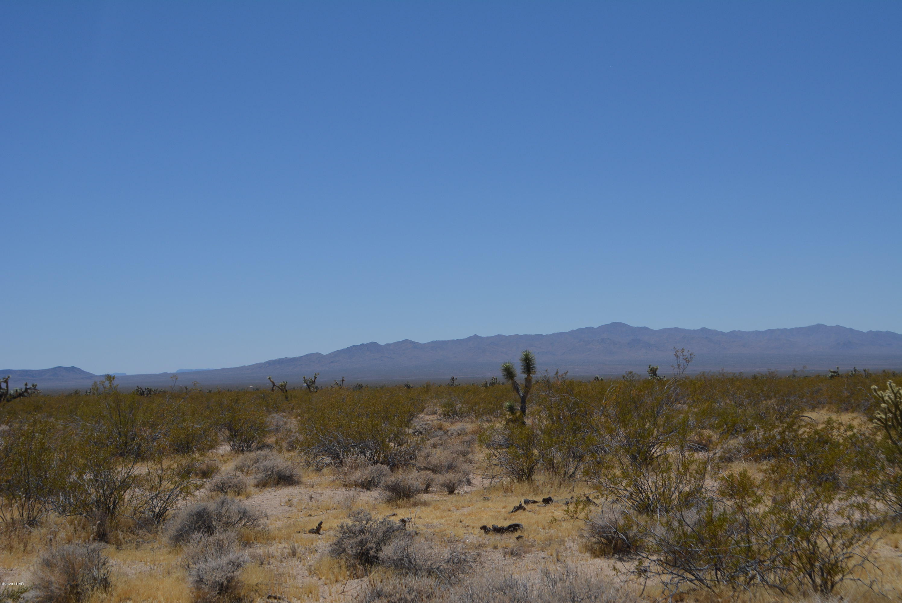 2586 South John Wayne Road Yucca, AZ 86438 - Photo 4 of 38 DSC_0346