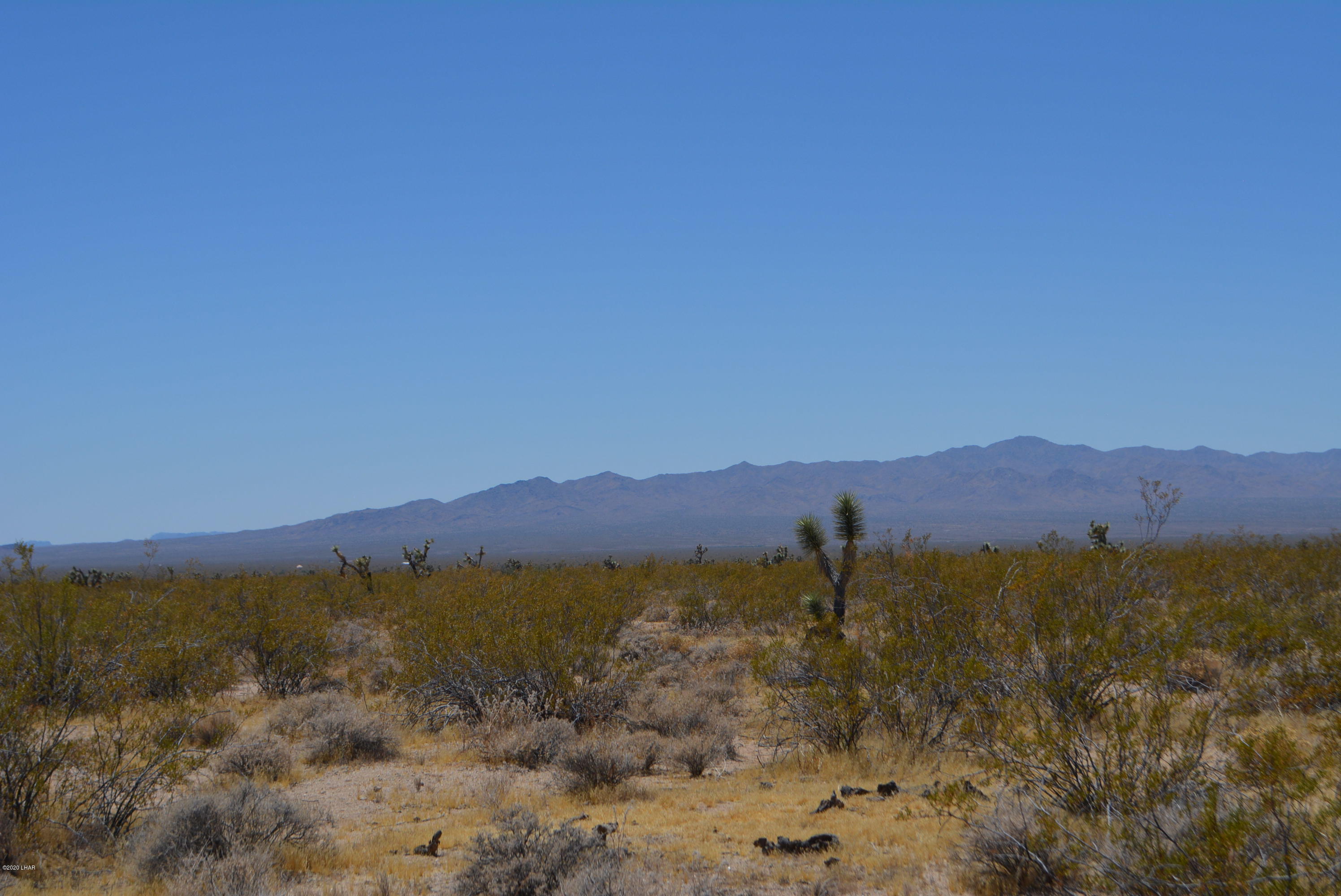 2586 South John Wayne Road Yucca, AZ 86438 - Photo 5 of 38 DSC_0347