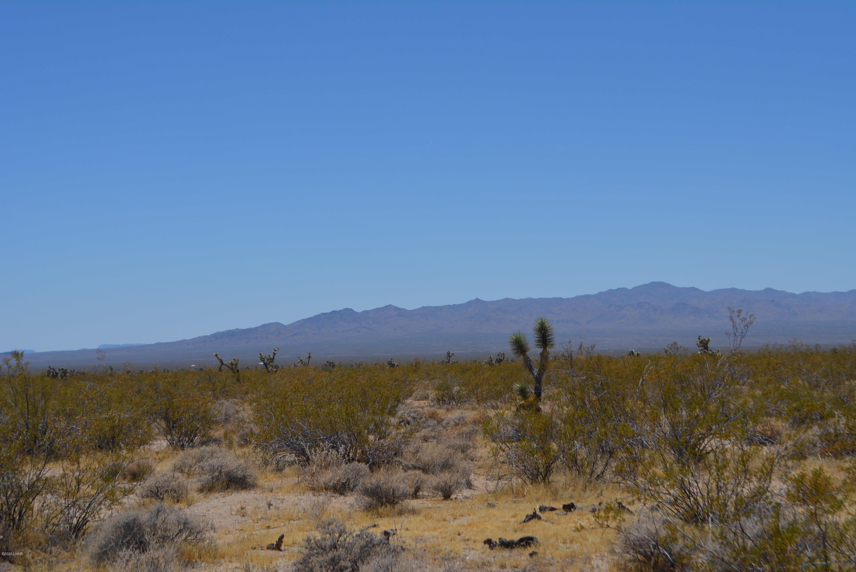 2586 South John Wayne Road Yucca, AZ 86438 - Photo 6 of 38 DSC_0348