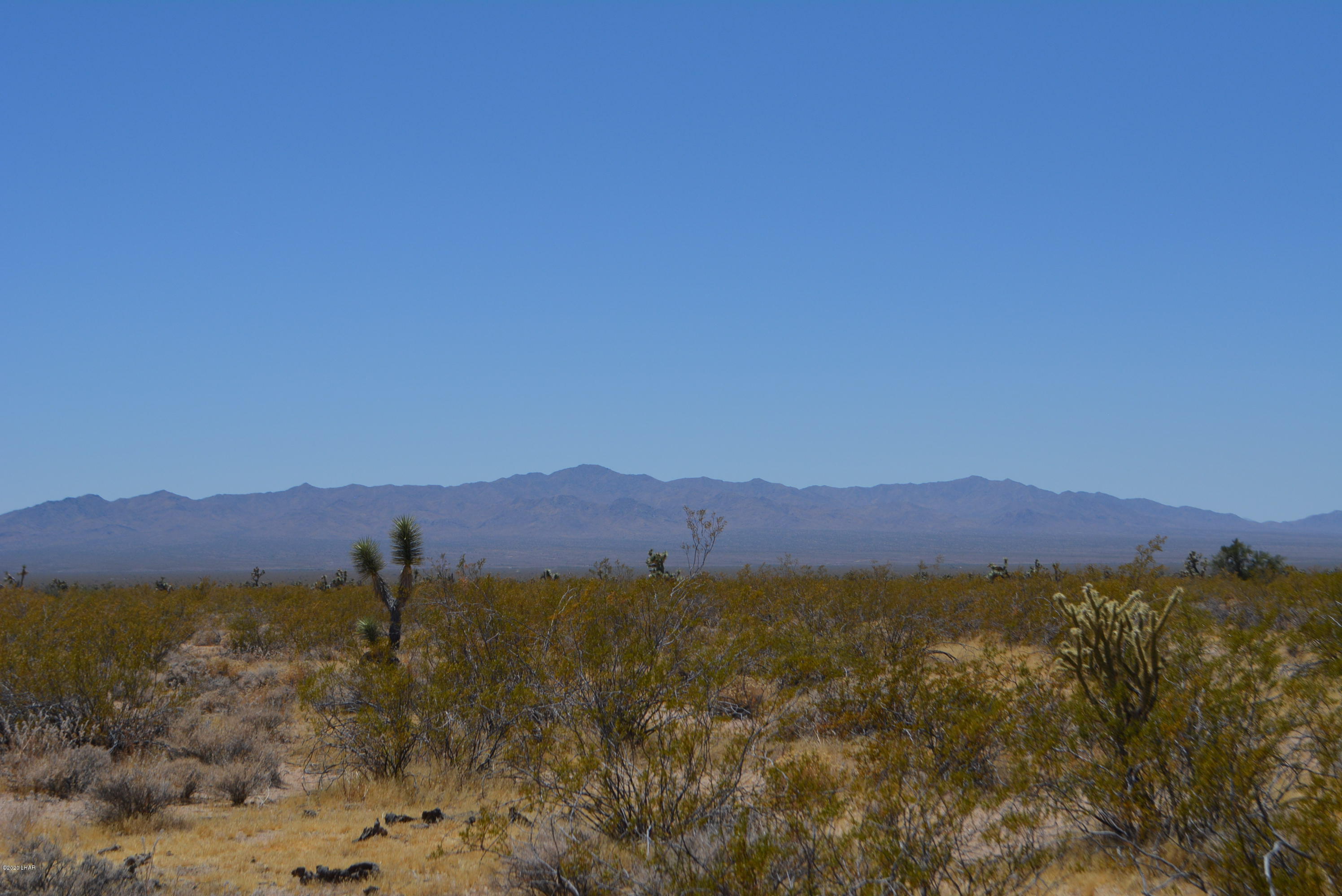 2586 South John Wayne Road Yucca, AZ 86438 - Photo 7 of 38 DSC_0349