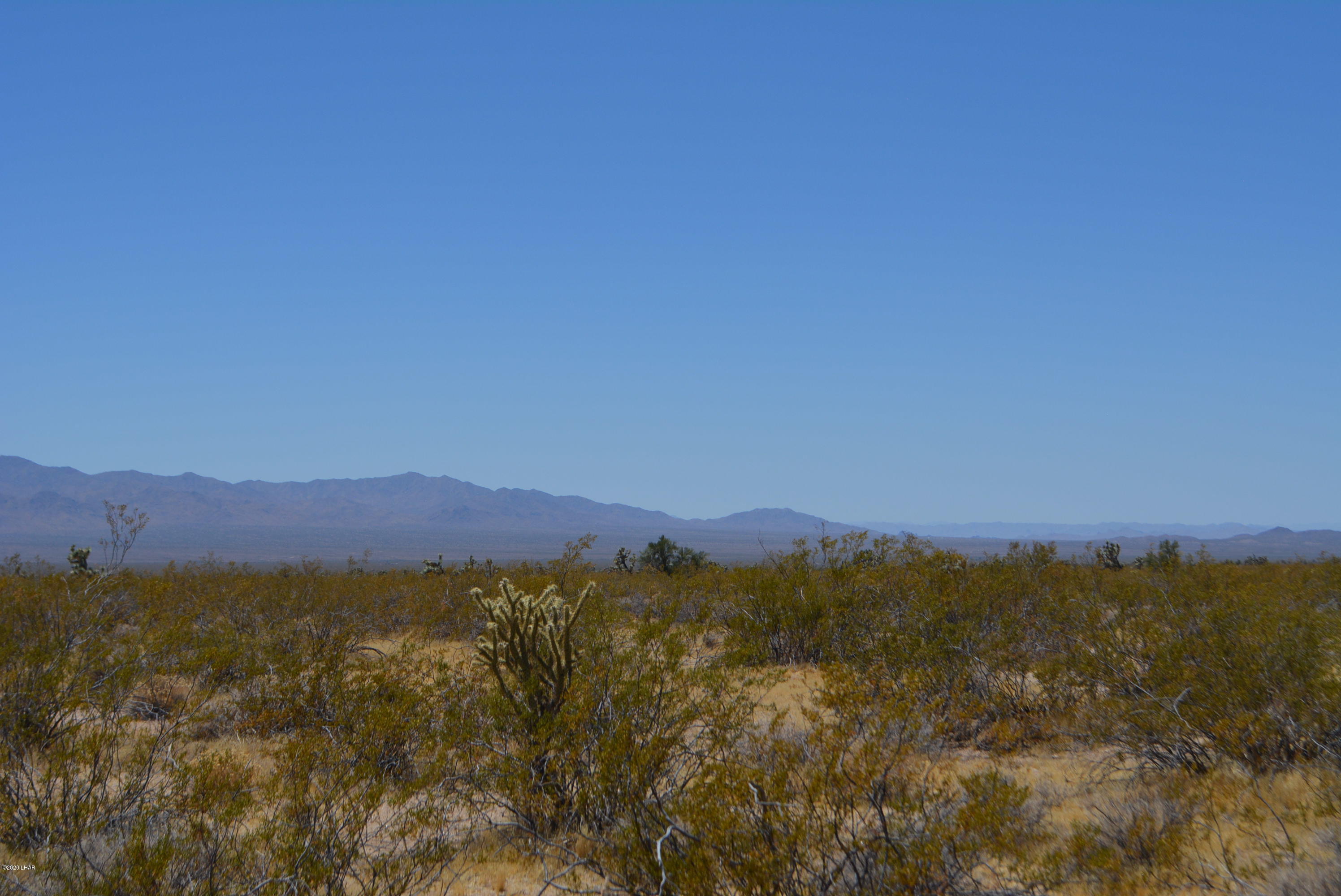 2586 South John Wayne Road Yucca, AZ 86438 - Photo 8 of 38 DSC_0350