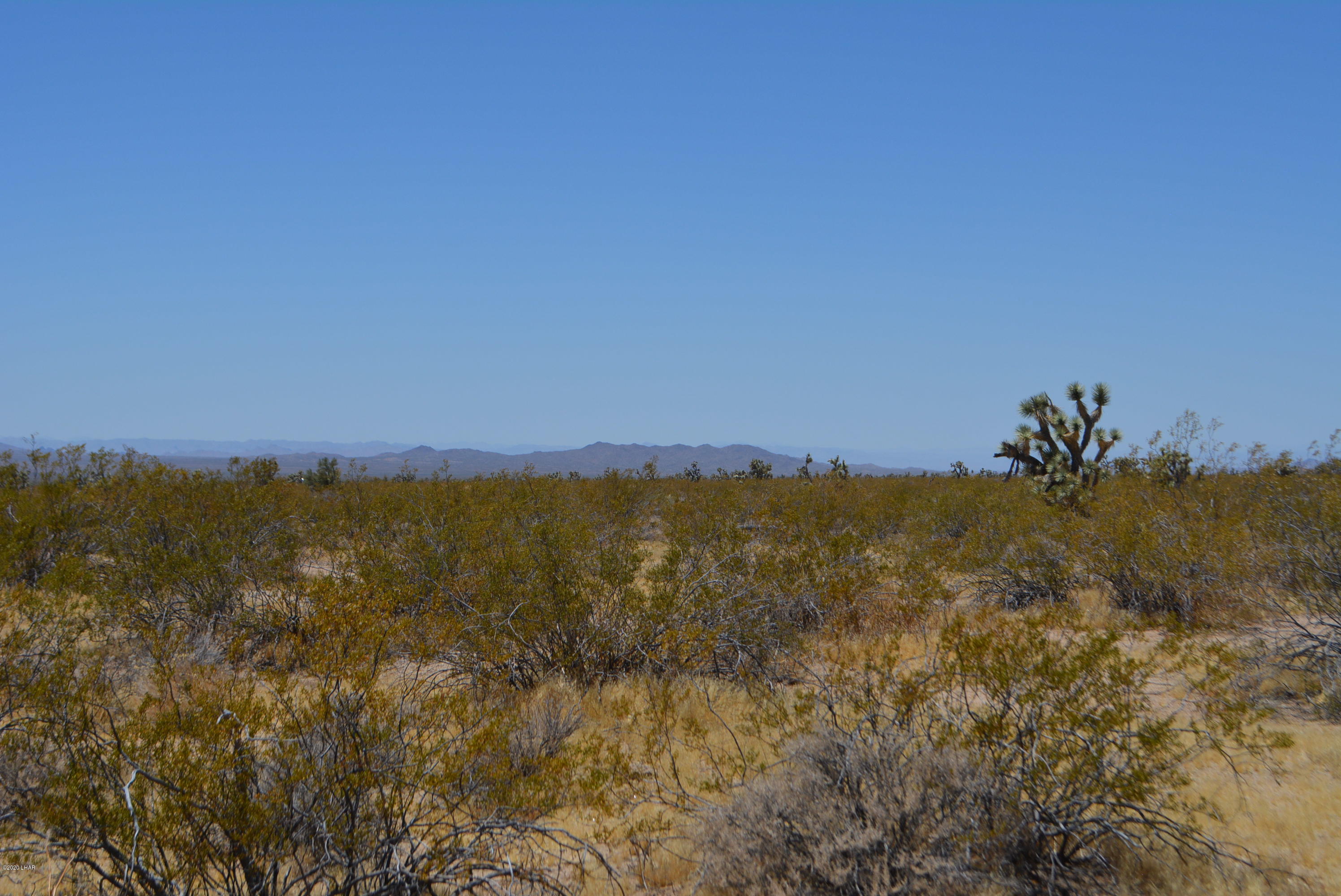 2586 South John Wayne Road Yucca, AZ 86438 - Photo 9 of 38 DSC_0351
