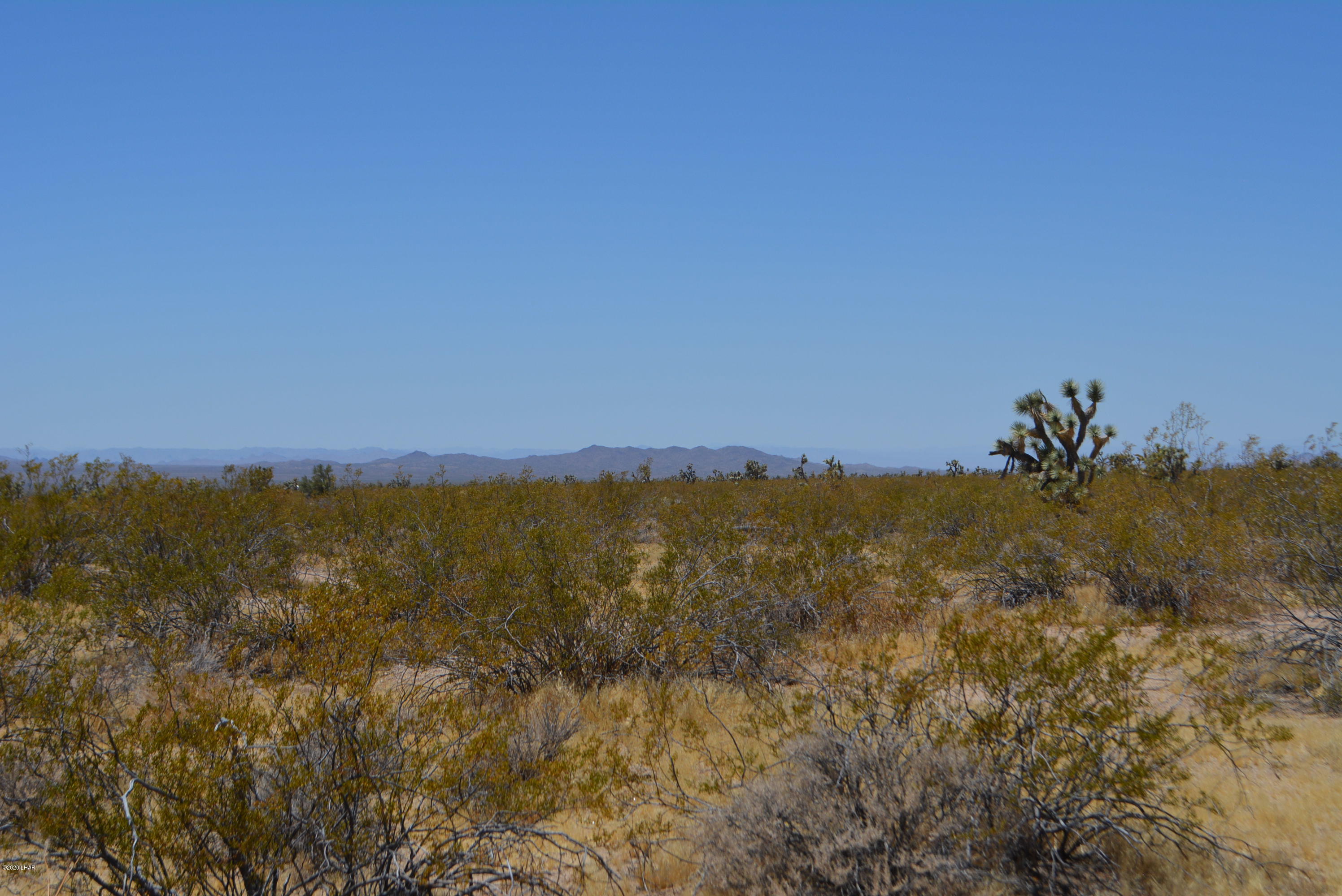2586 South John Wayne Road Yucca, AZ 86438 - Photo 10 of 38 DSC_0352