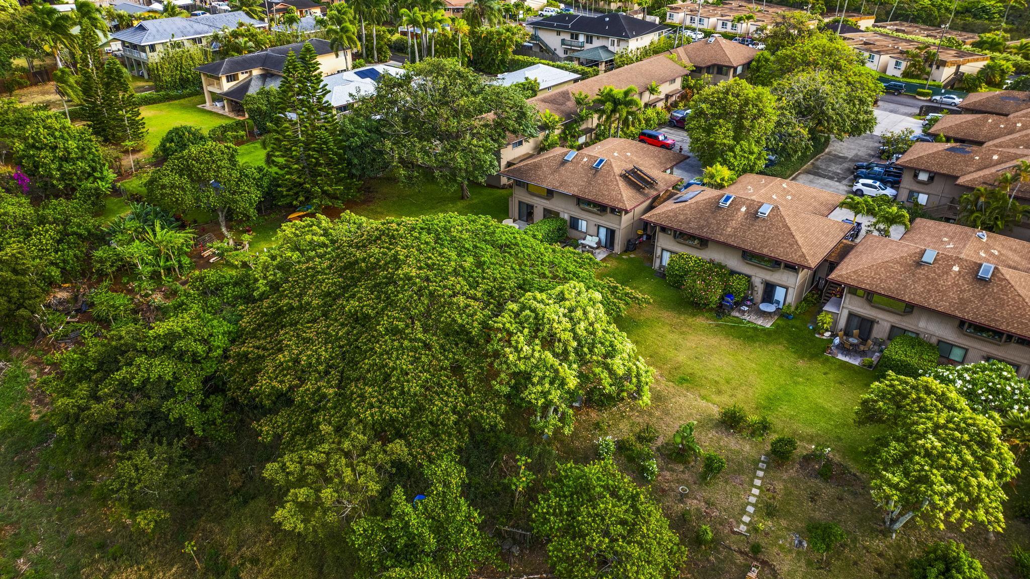 101 Hui Rd F, Unit F2 Lahaina, HI 96761 - Photo 29 of 50 Gallery Image 29