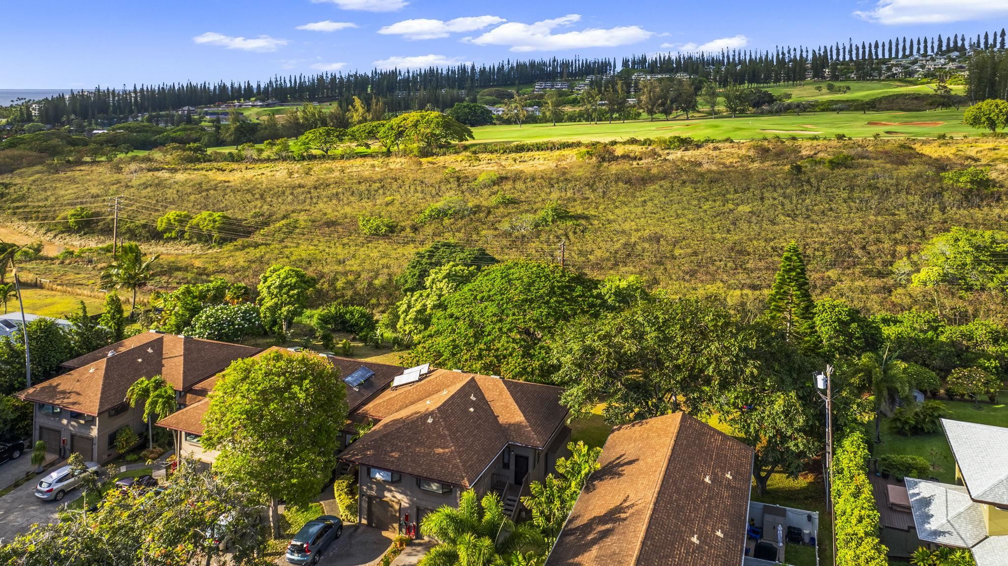 101 Hui Rd F, Unit F2 Lahaina, HI 96761 - Photo 33 of 50 Gallery Image 33