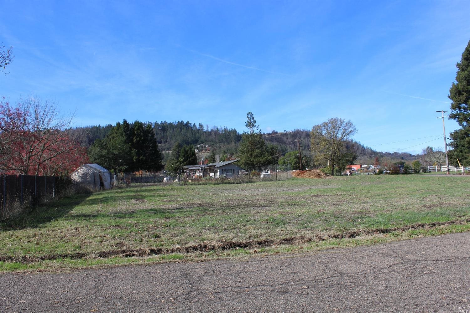 a view of a field with trees