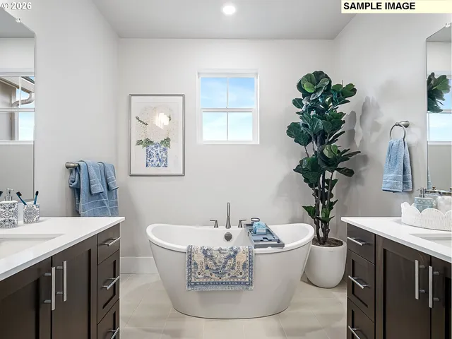 a room with a potted plant and a sink