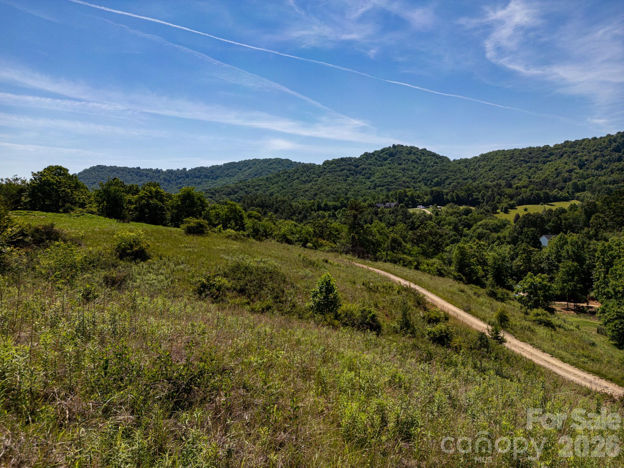 999 Murphy Cove Road Candler, NC 28715 - Photo 29 of 48
