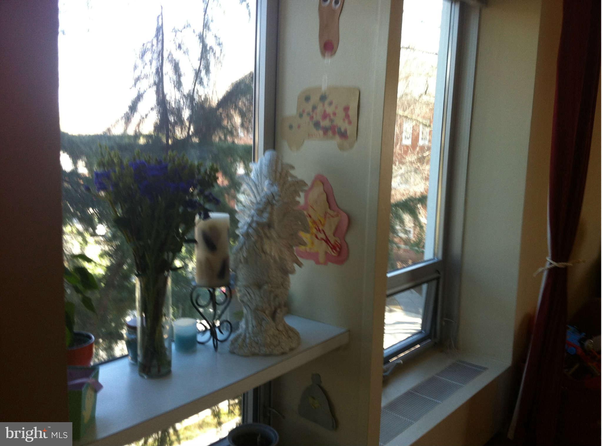 1435 4th Street Southwest, Unit B211 Washington, DC 20024 - Photo 7 of 30 Interior (General)